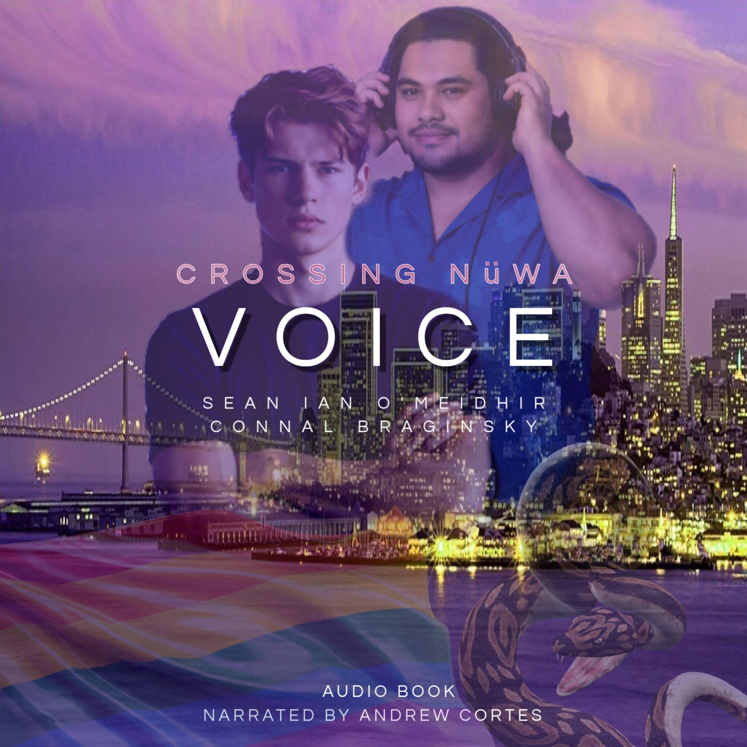 Cover art for Voice
