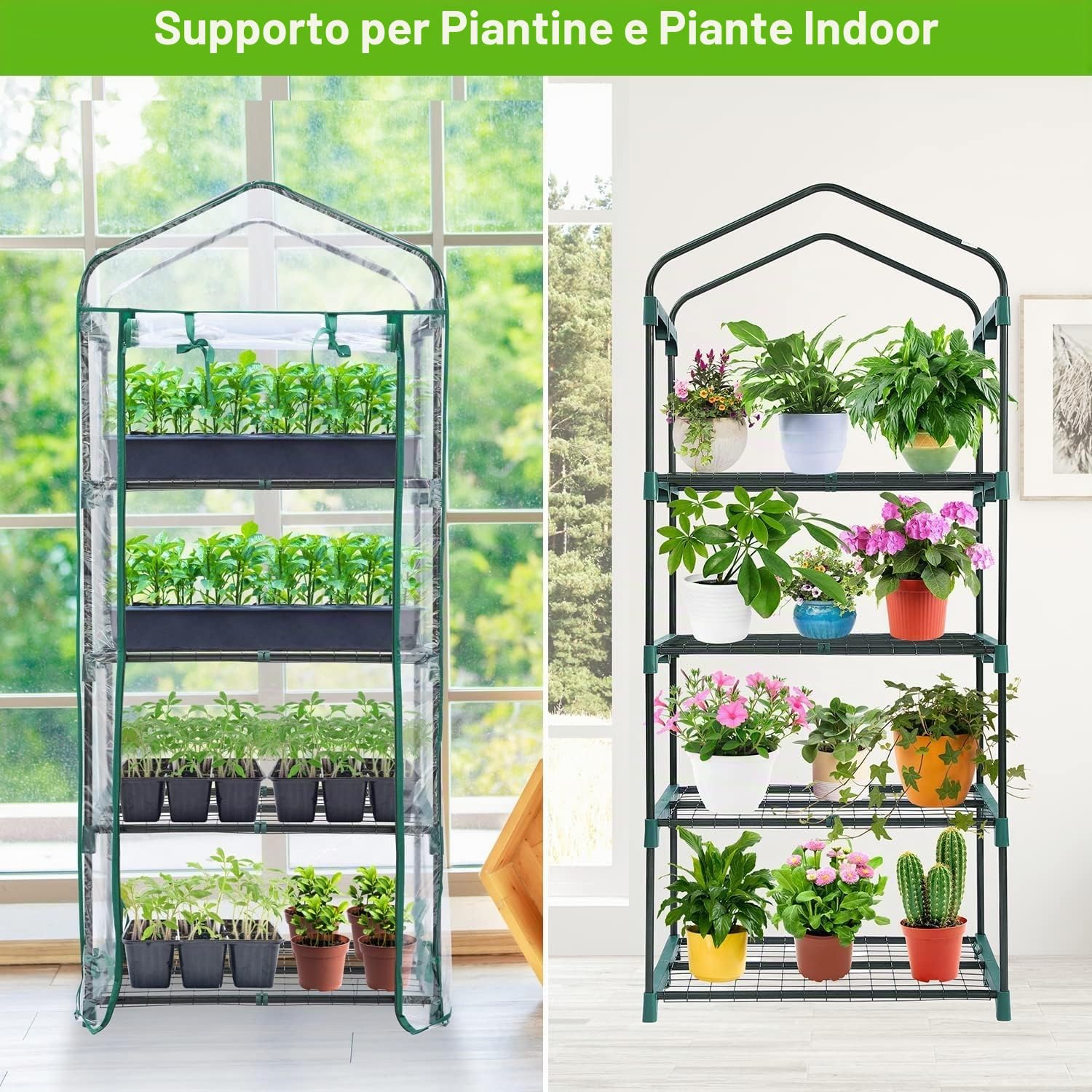 LATERN 4 Ripiani Mini Serra, 160CM x 70CM x 50CM Piccola Serra Struttura e Copertura in PVC Trasparente con Porta Avvolgibile con Cerniera per Piante Protezione da Freddo Gelo Vento Pioggia