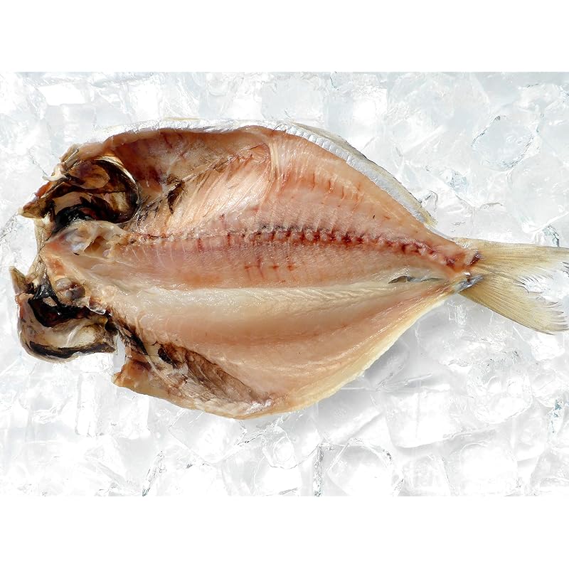 沼津のひもの えぼ鯛 大10枚 橘水産 Gqpsf2kwko Studpac Ro 沼津のひもの えぼ鯛 大10枚 橘水産 Gqpsf2kwko Studpac Ro