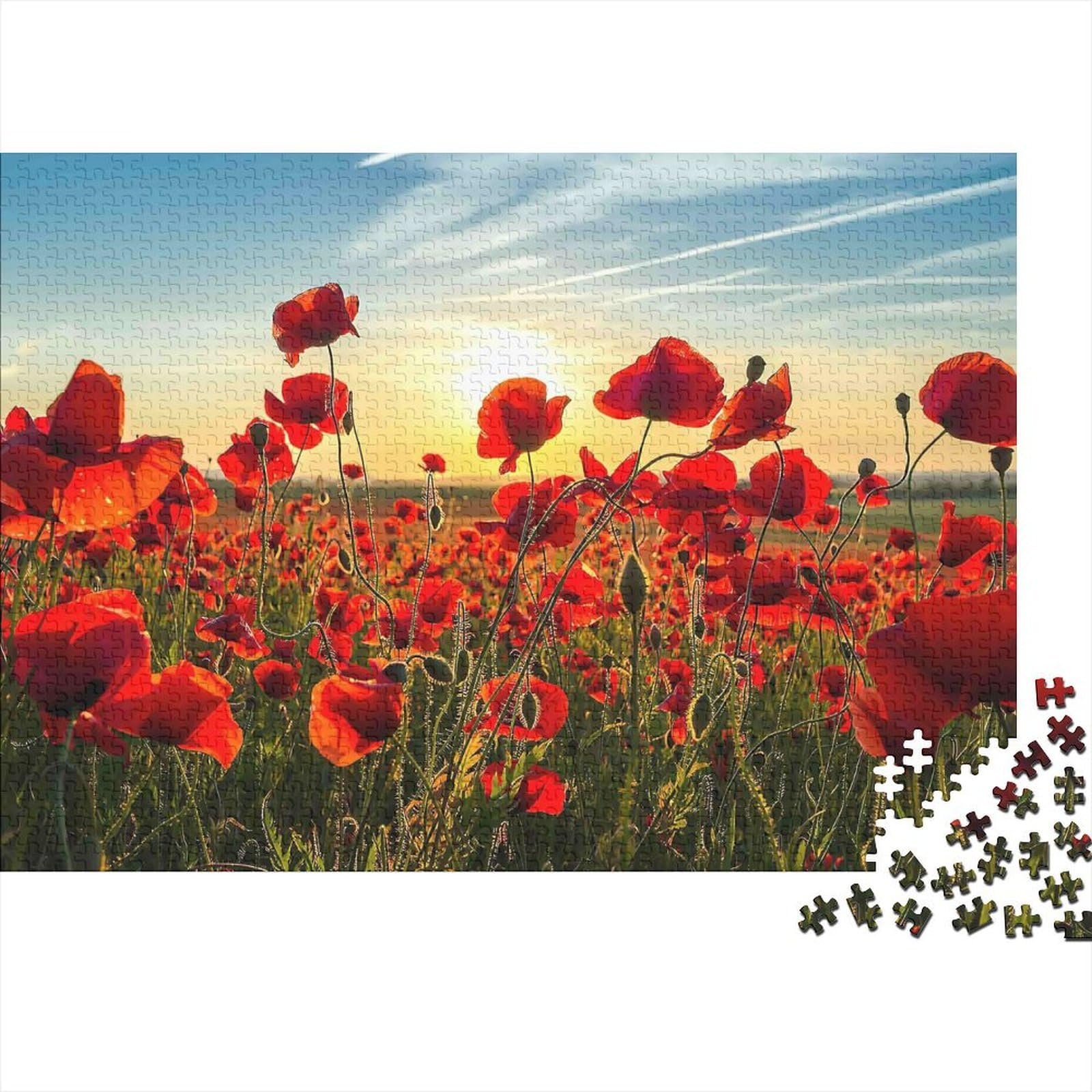Puzzle De 1000 Piezas Campo De Amapolas Al Atardecer | Tamaño 38x26 Cm | Material Reciclado Y Resistente | Actividad Relajante Para Adultos | Garantía Por Piezas Faltantes
