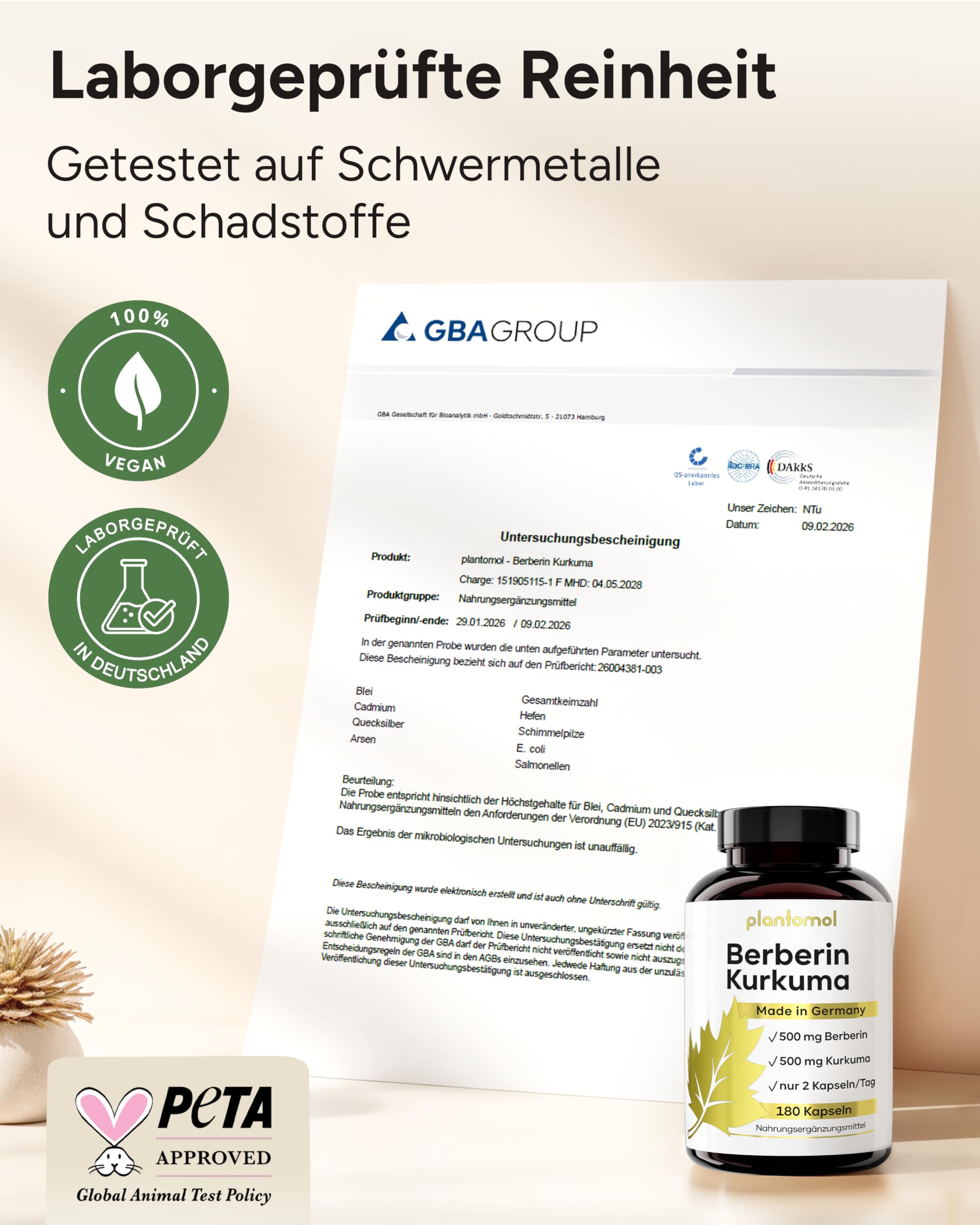 Berberin Kapseln als 11-fach Komplex – 180x Berberin 500mg Komplex mit Kurkuma – Berberine 500mg mit Cholin, L-Carnitin, Piperin, Vitamin C & B6-180 – Berberine Kapseln Hochdosiert - 3 Monatsvorrat