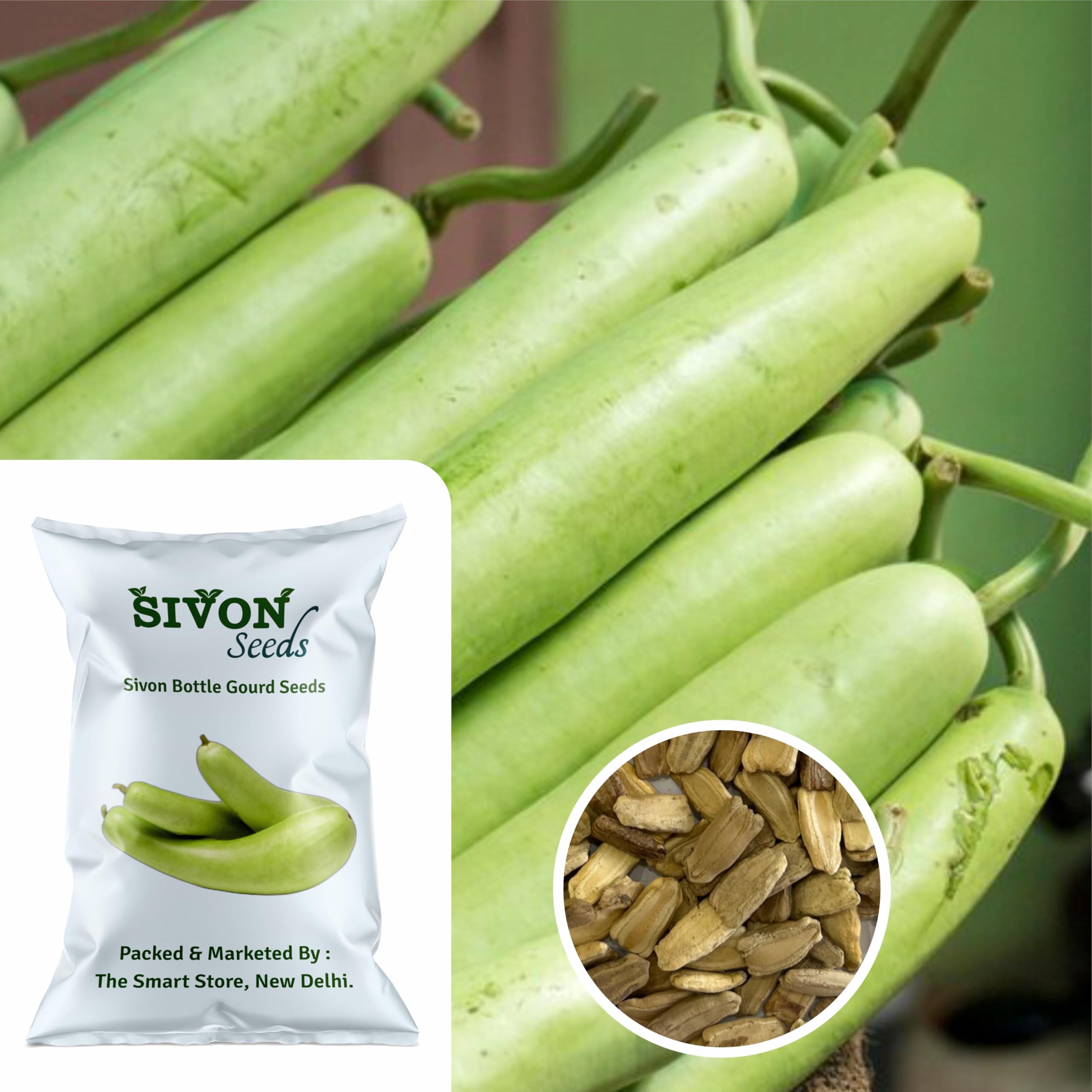 SIVON Bottle Gourd (Lauki) 20 Vegetable Seeds for Home Garden, Organic & Hybrid, Perfect for Home Gardening, Planting For Pots and Patio (B0CXM74Q9C) Amazon Price History, Amazon Price Tracker