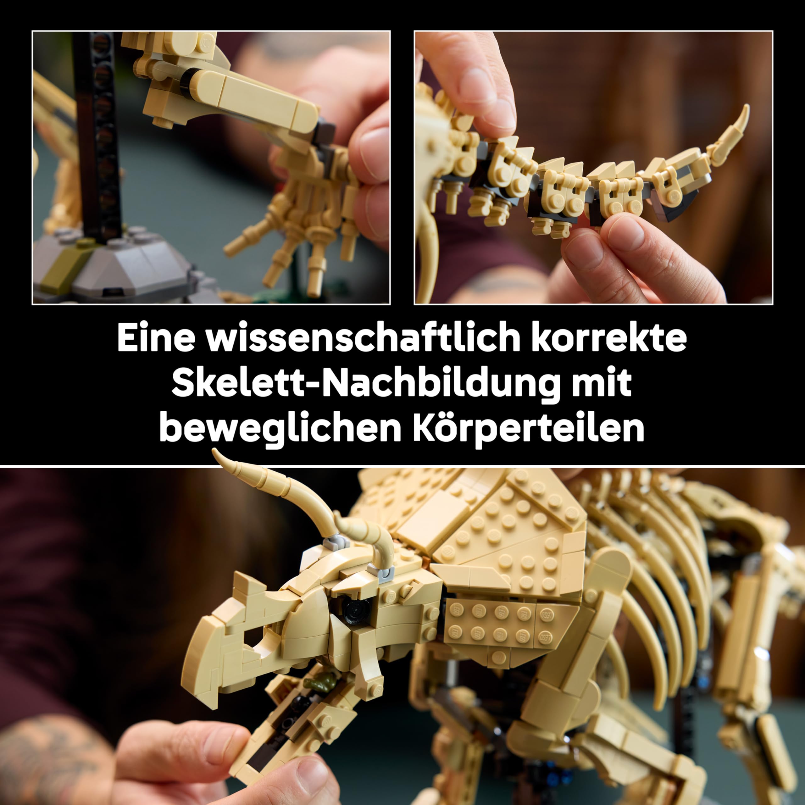 LEGO Jurassic World Dinosaurier-Fossilien: Triceratops - Modellbau für Erwachsene mit der Minifigur Dr. Gerry Harding - DIY Deko fürs Regal - Geschenkidee für Jurassic Park Fans - 77985