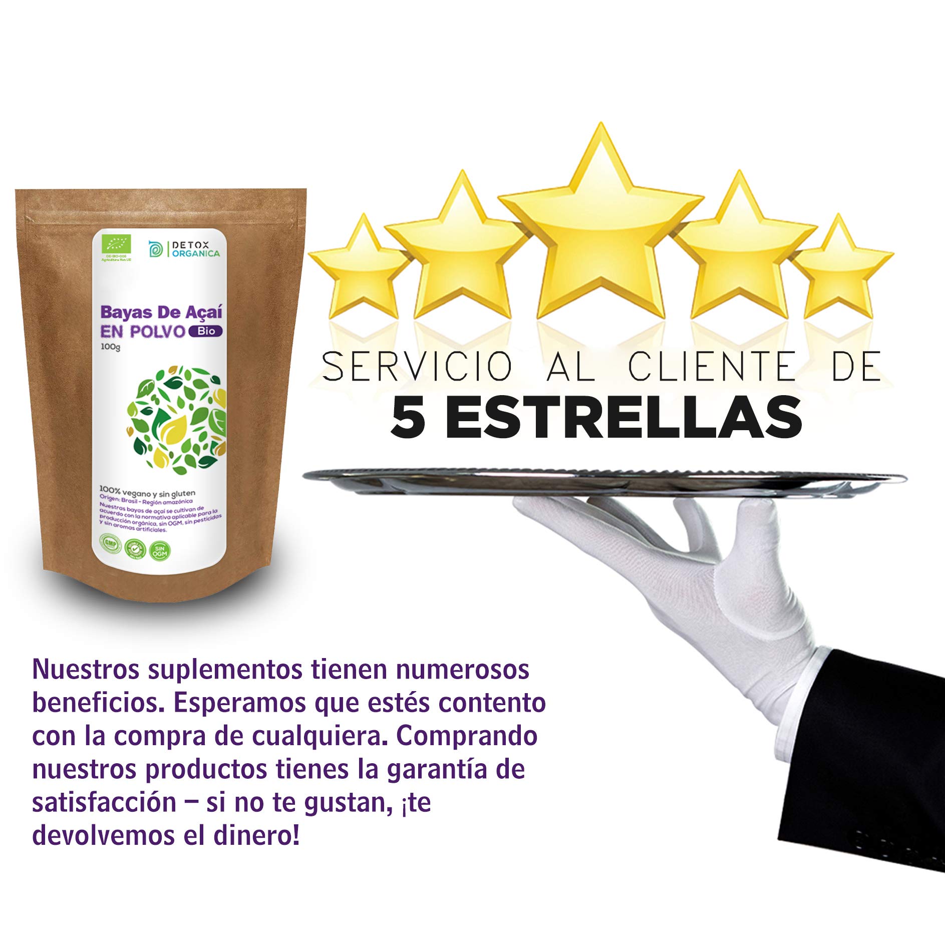 Detox Organica Bayas De Acai Polvo Orgánico - 100g Açaí en Polvo BIO -Bayas De Acai Organico Freeze-Dried – Extracto Crudo de la Pulpa – Cultivado en Brasil, Liofilizado
