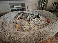 Review Image by Mollie Mollie