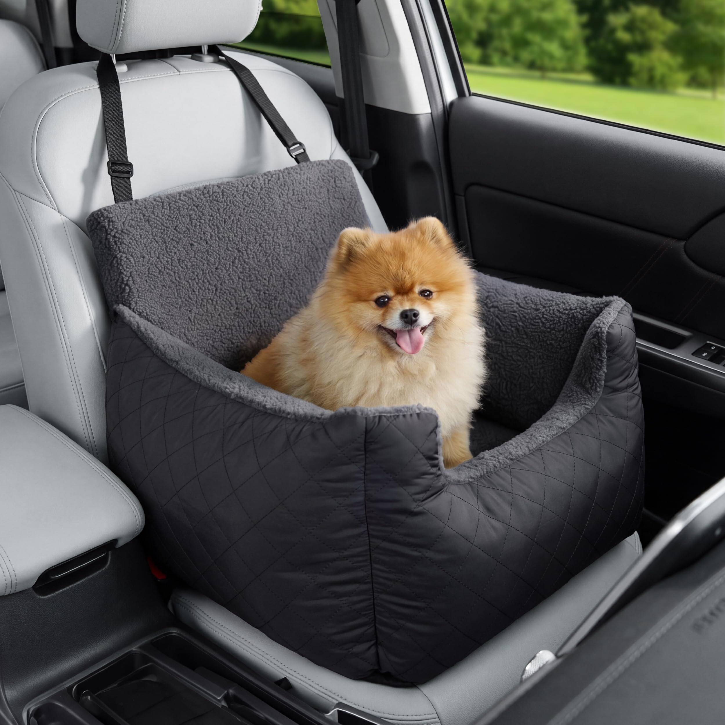 Lesure Small Dog Car Seat - Waterproof Dog Booster Seat, Puppy Car Bed With Clip-On Leash for Pet Travel Carrier Bed, 54.5x49.5x38cm, Black