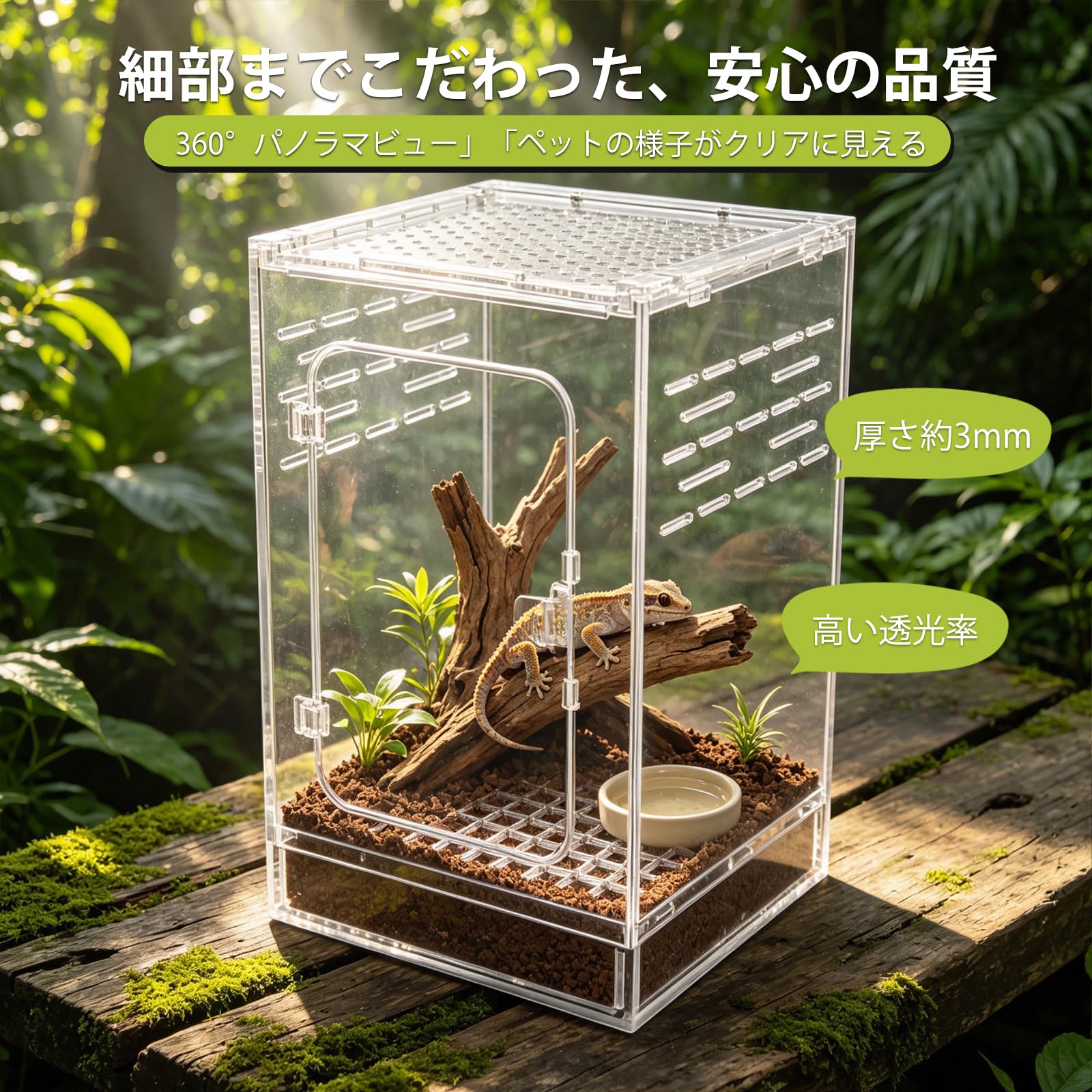 Amazon | 20×20×30cm 爬虫類・両生類飼育ケース 昆虫ケージ 通気性