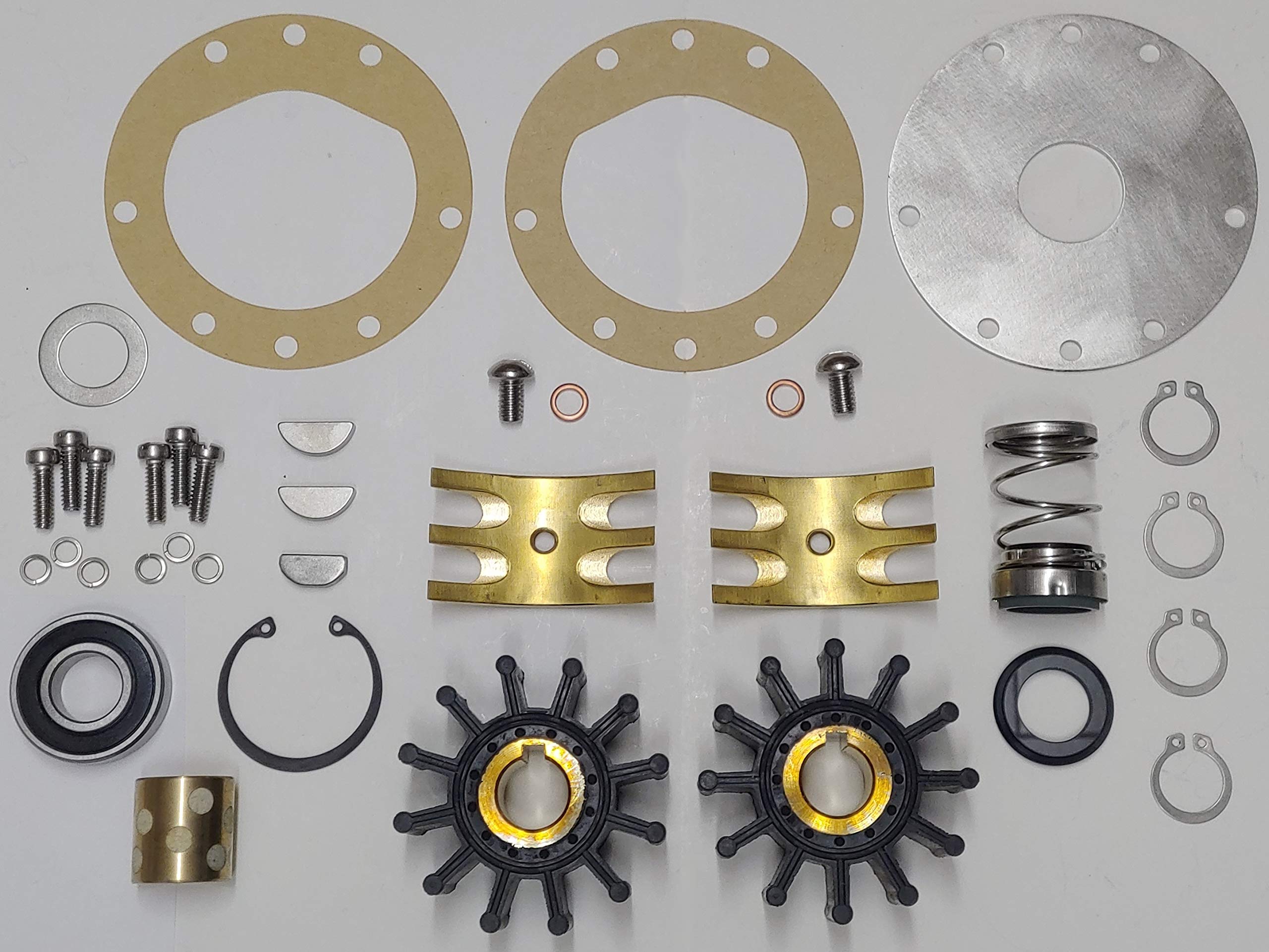 SCP-12300 Major Repair Kit For Sherwood Double Pocket Dual Impeller Pump D60 D-60 D-65 D-75