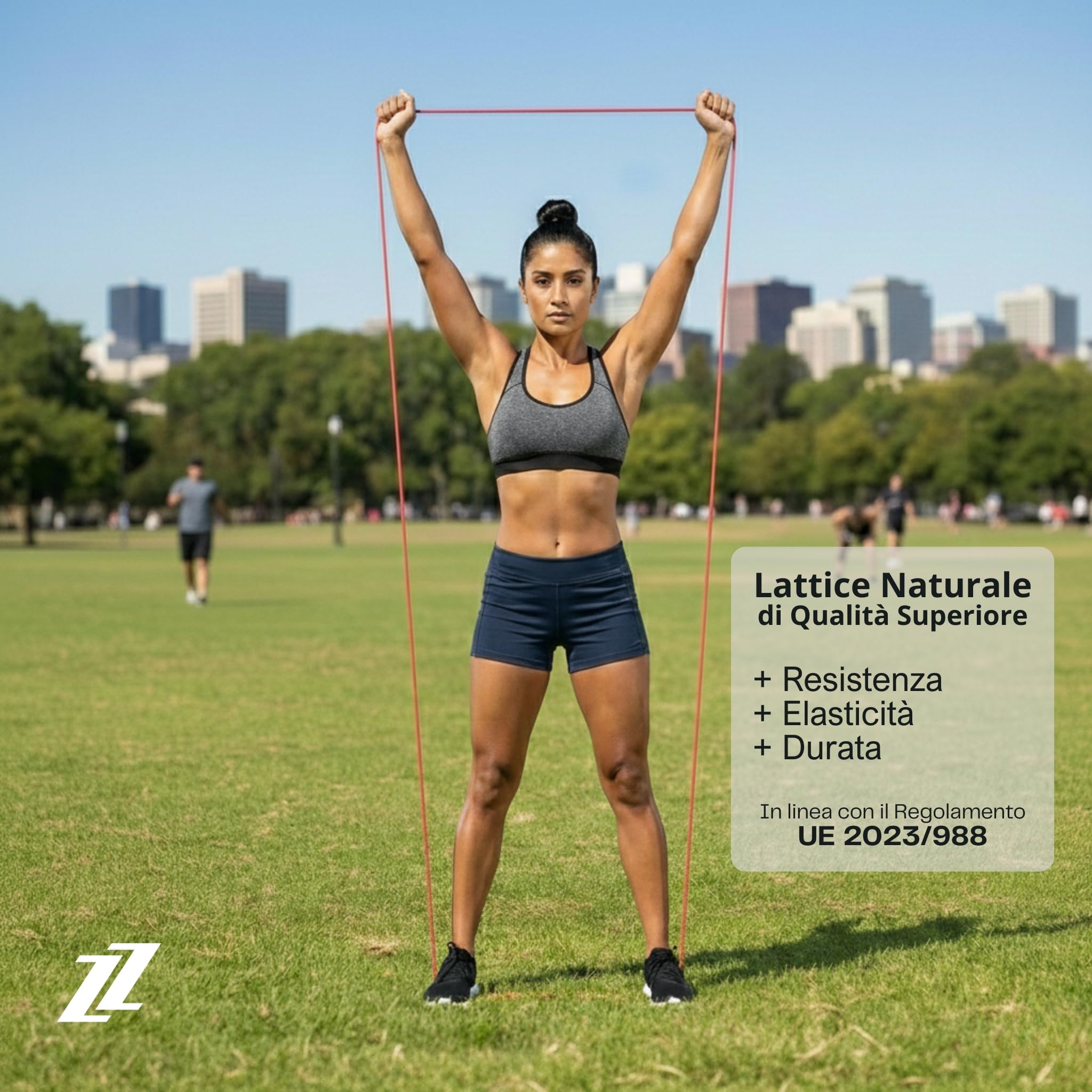 Fascia Elastica per Muscolazione e Fitness | Lattice Naturale e Resistenza Premium | Allenamento a Casa, Palestra o all'Aperto | Esercizi Multipli per Uomini e Donne