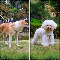 Vista 59 de CHEDE No Pull Floral Pattern Dog Harness - Lightweight and Soft, Adjustable Small Dog Harness Set with Leash, Suitable for Puppy to Medium-Sized Dog