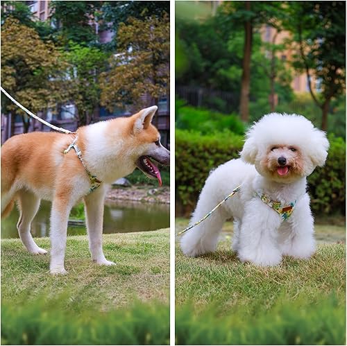 Miniatura 10 de Arnés para perro sin tirones, arnés ligero y suave para perro, arnés ajustable y correa para perro pequeño, con correa para perro, adecuado para
