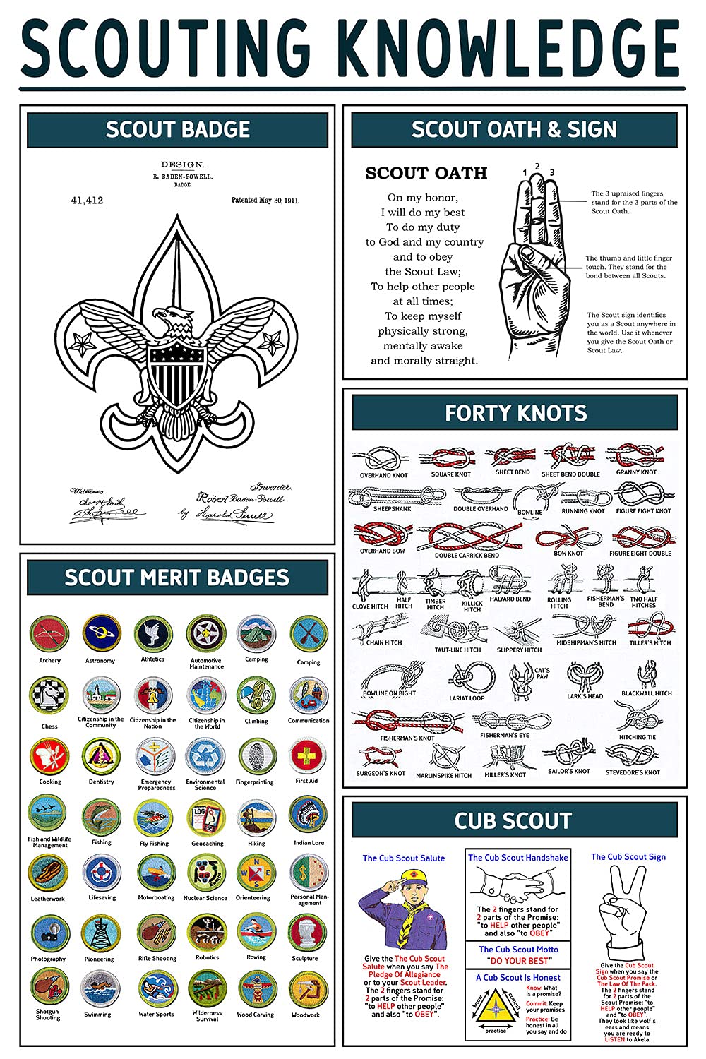 peiyeety Scouting Knowledge Metal Sign Youth Science Infographic Poster Plaque For Club School Classroom Home Wall Decor 8"x12"