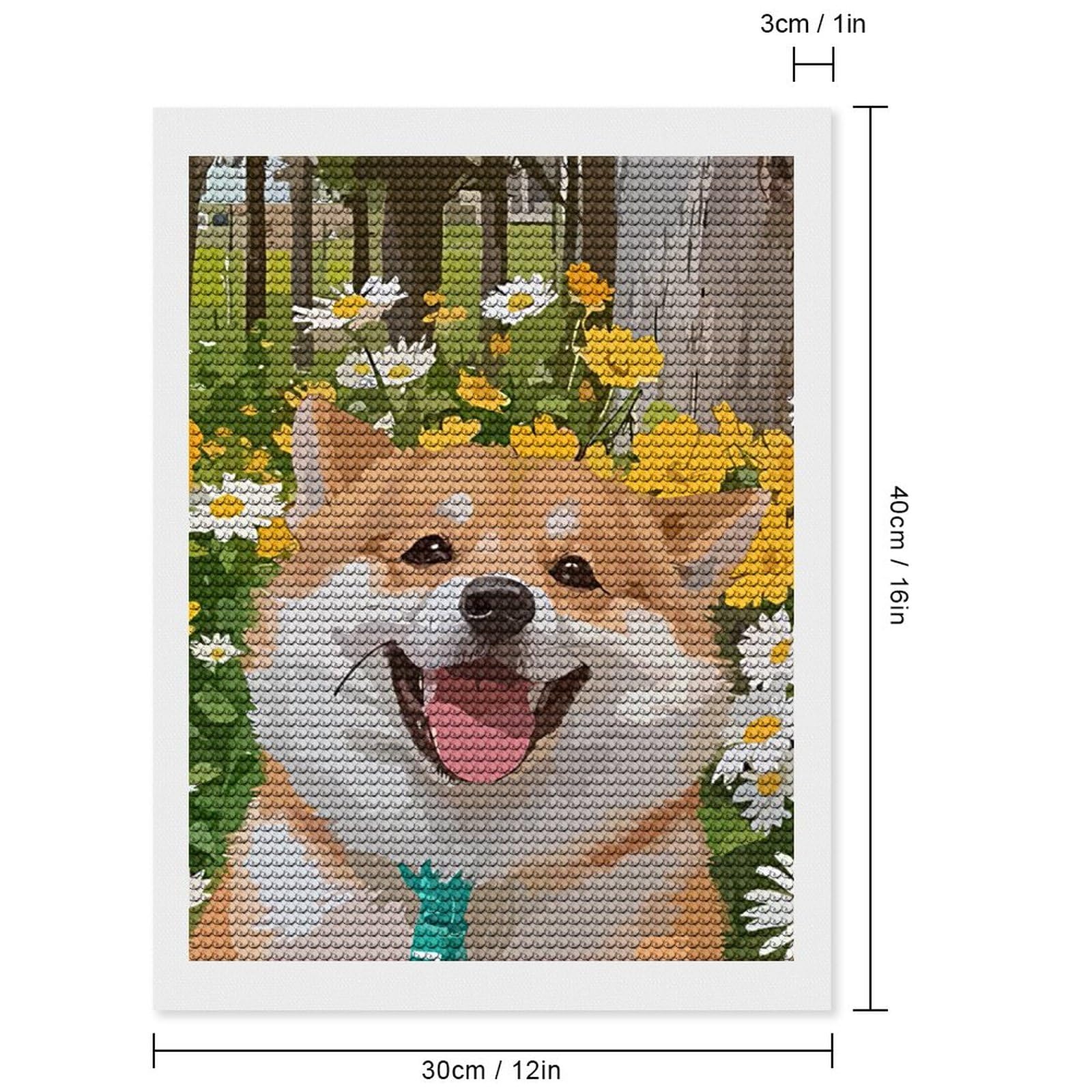 Amazon | 5Dダイヤモンドアートキット笑顔 犬 柴犬 ドッグ