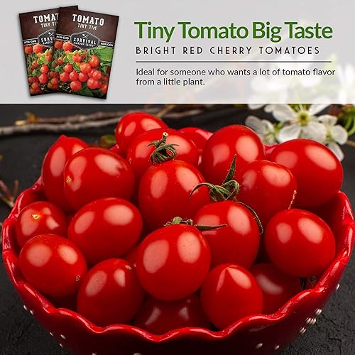 Miniatura 5 de Survival Garden Seeds - Tiny Tim Semilla de tomate para plantar - Paquete con instrucciones para plantar y cultivar tomates pequeños en tu huerto