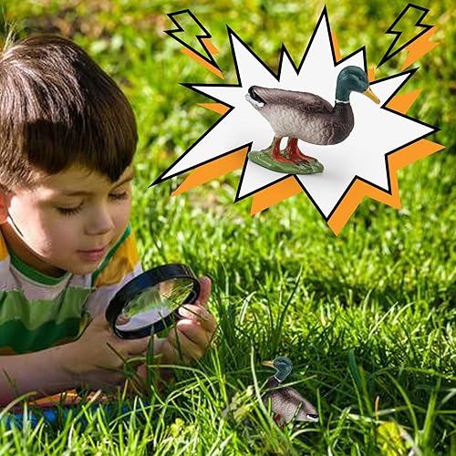 Miniatura 2 de LC JoyCre Figuras de pato de ánade real de plástico para niños, figuras de animales de granja, juguete para niños pequeños, herramientas de