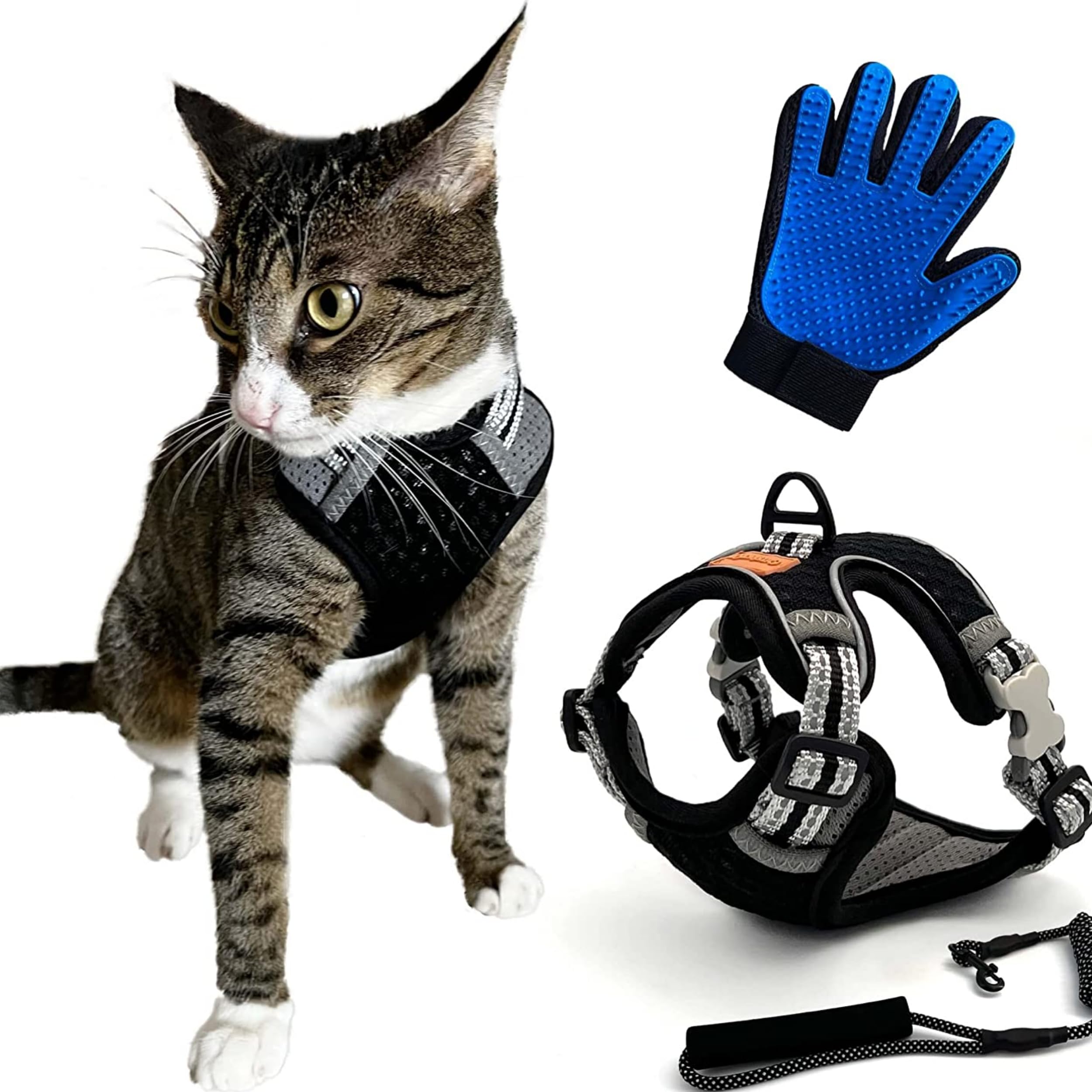CutePet - Anti-Escape Harness for Kitten Adult Cat, Puppy, Small Dog, Rabbit with Cat Hair Glove, Black
