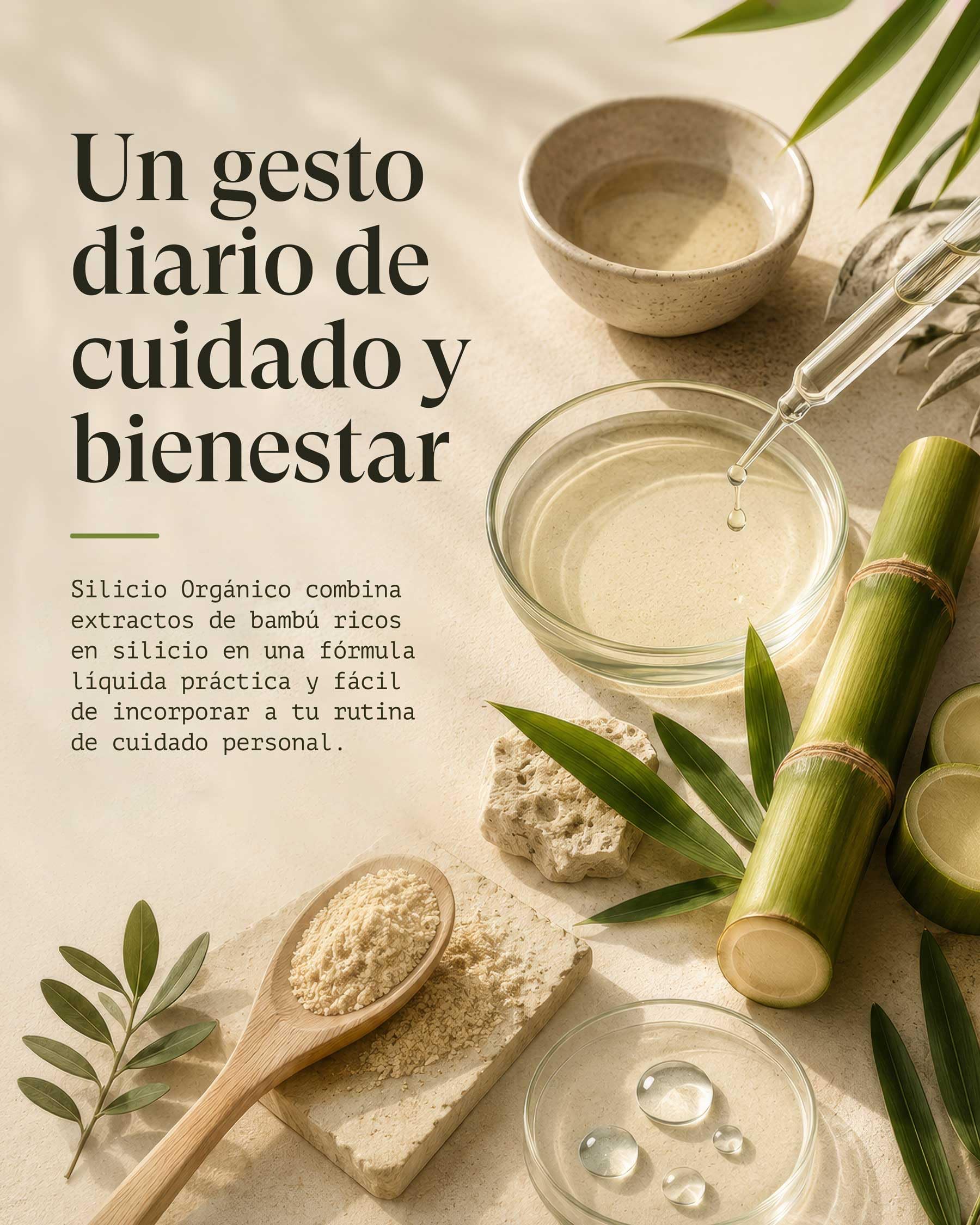 Silicio Orgánico | Apoyo a huesos, articulaciones, piel y cabello | Con MESOPOROSIL® (ácido ortosilícico) y bambú rico en sílice | 500 ml
