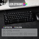EPOMAKER Aula WIN60 HE 60% Verkabelte Magnettastatur mit Einstellbarer Betätigung, 8000 Hz Polling Rate, Hall-Effekt-Schalter, Hot-Swap, für FPS-Spiele (Schwarz) - 5
