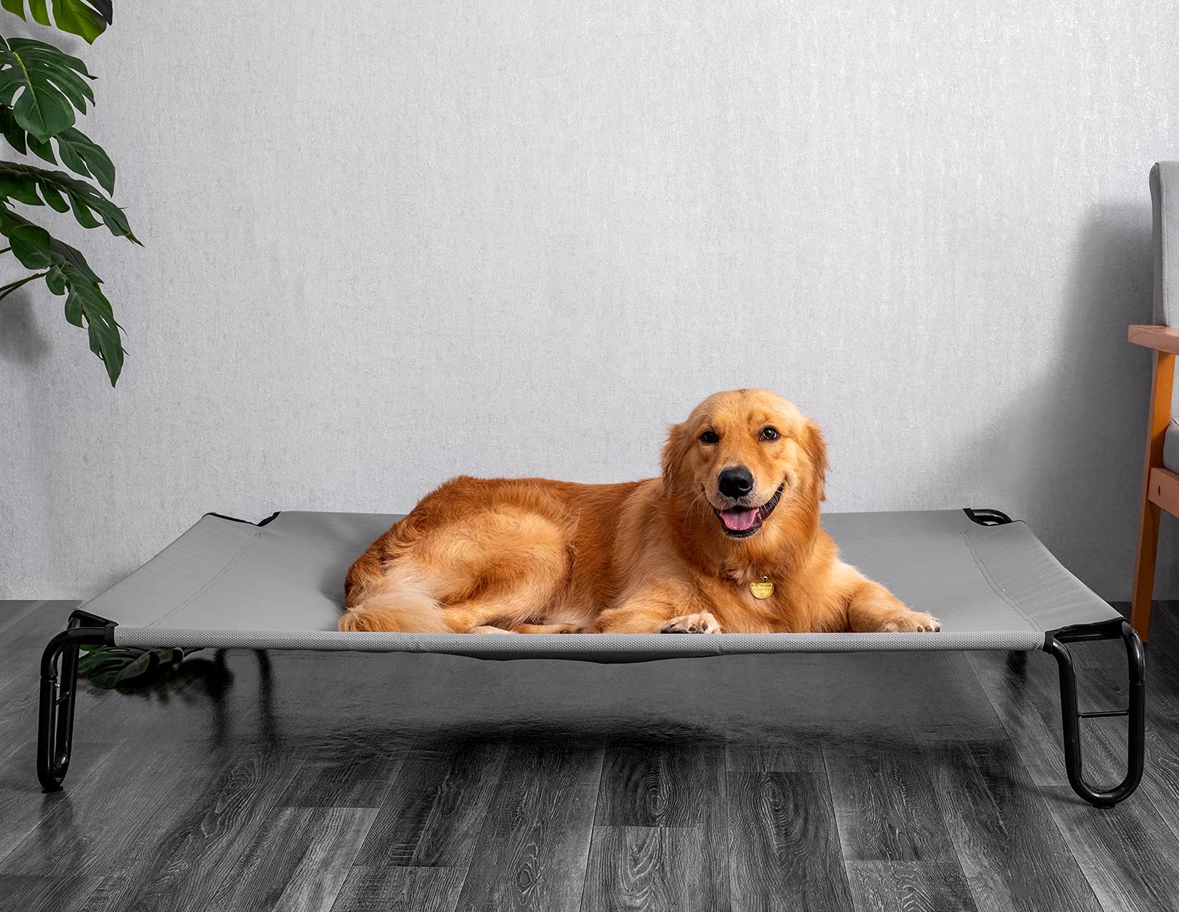 BestVida Cama elevada para Perro (Mediano, Gris)