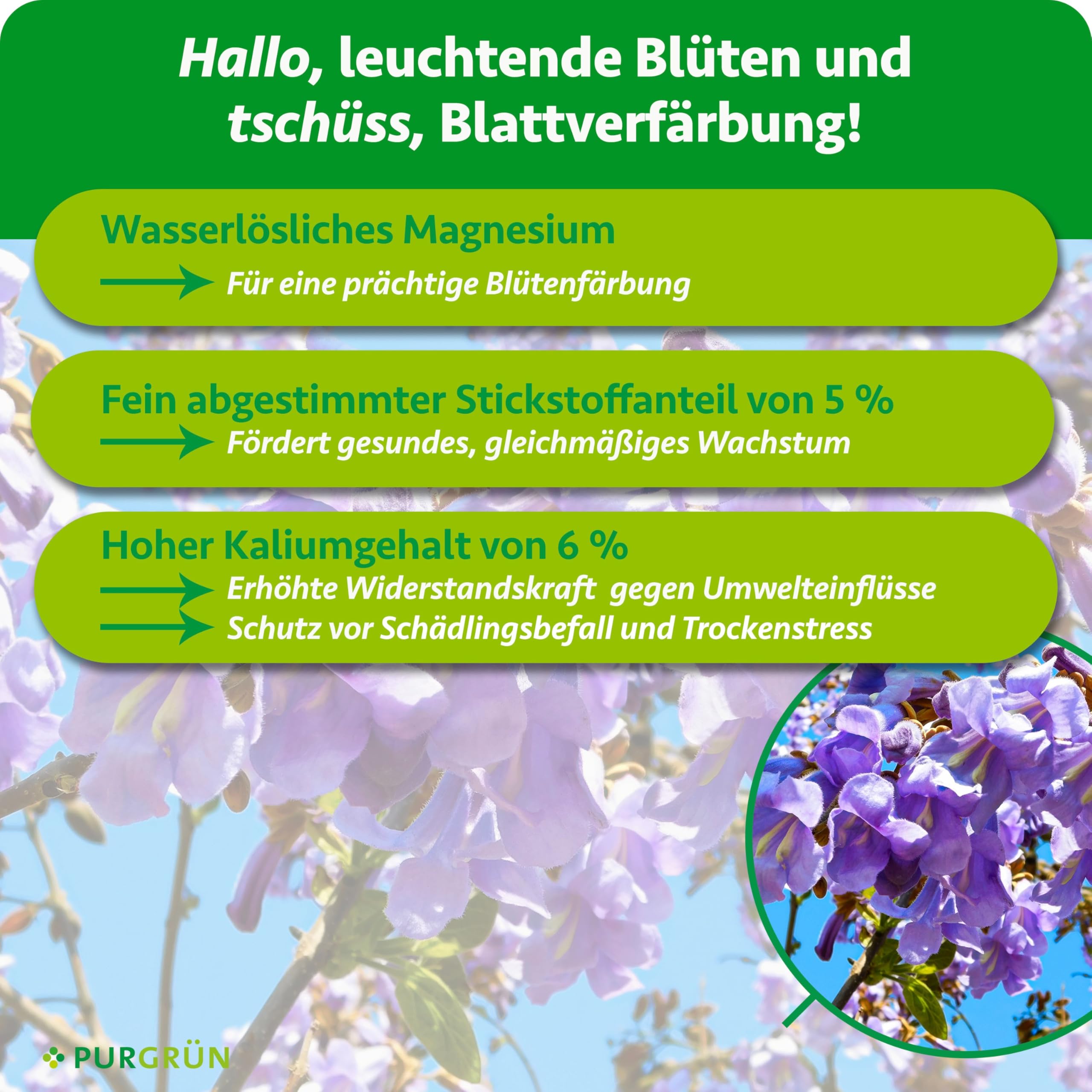 Blauglockenbaum-Dünger 1 kg – Organisch-mineralische Rezeptur – Feinkörniges Krümelgranulat – NPK 5+4+6 – Extra Magnesium für leuchtende Blüten – Verbessert die Bodenqualität