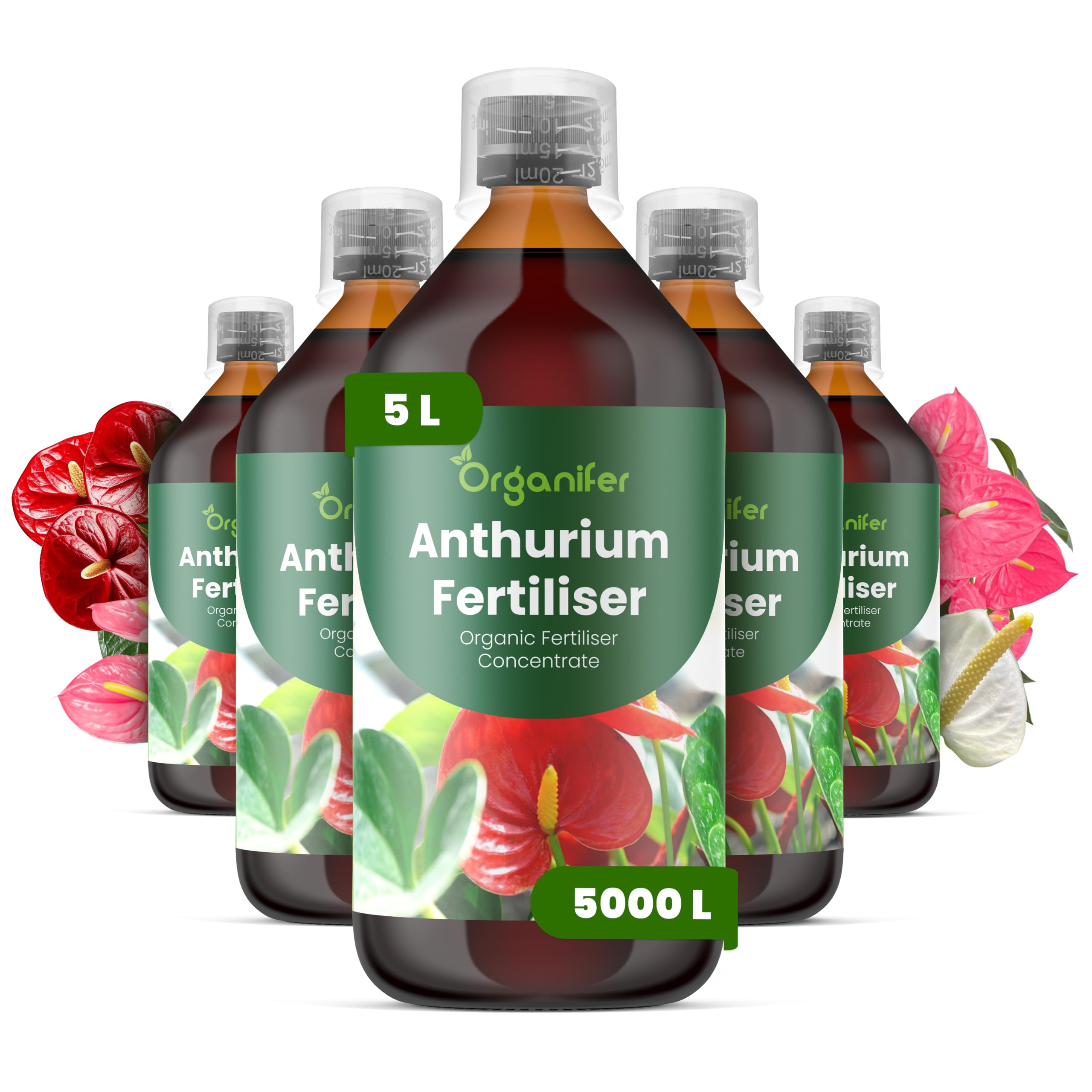 Fertilizante Líquido Para Anthurium - 5x1L - NPK 3-4-3 | Fertilizante Para Floración Abundante Y Raíces Fuertes - Favorece Tallos Y Vitalidad - Organifer