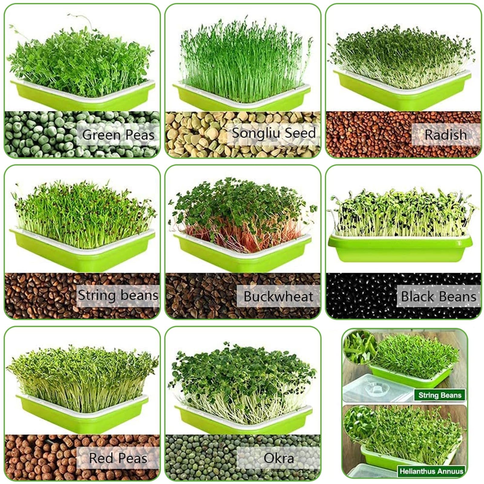 IcyFlame Seed Germination Tray - Start Seeds Easily -4 IcyFlame Seed Germination Tray - Start Seeds Easily -4