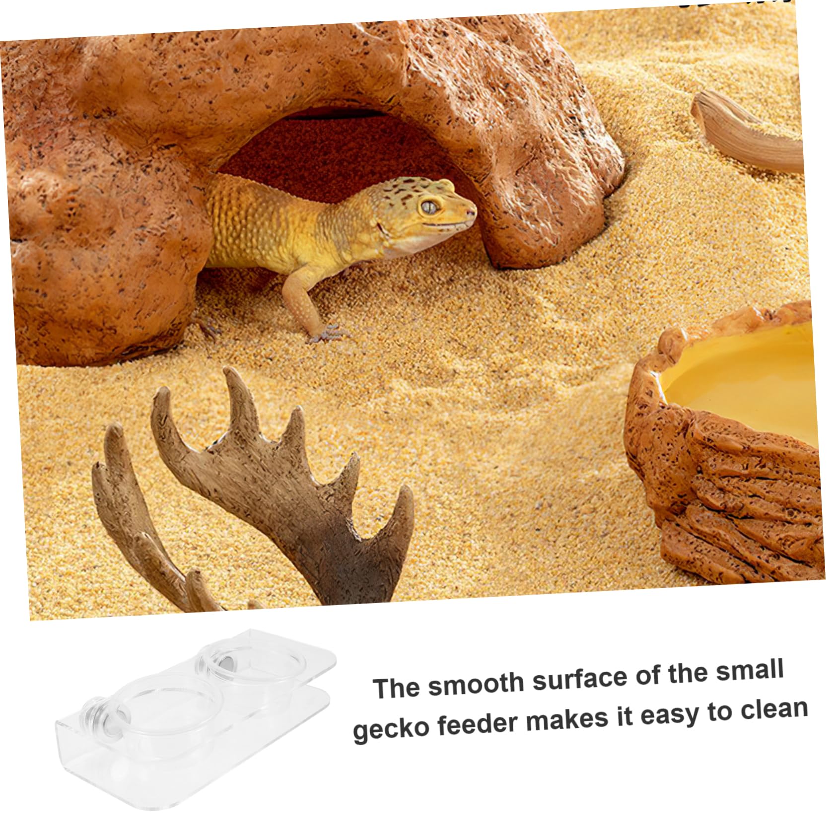 Yardwe 5 Juegos Comedero para Reptiles Cuenca De Agua De Reptil Tazas De Comida Gecko Repisa De Alimentación De Reptiles Repisa del Comedero para Gecos Alimentador De Gecos Acrílico