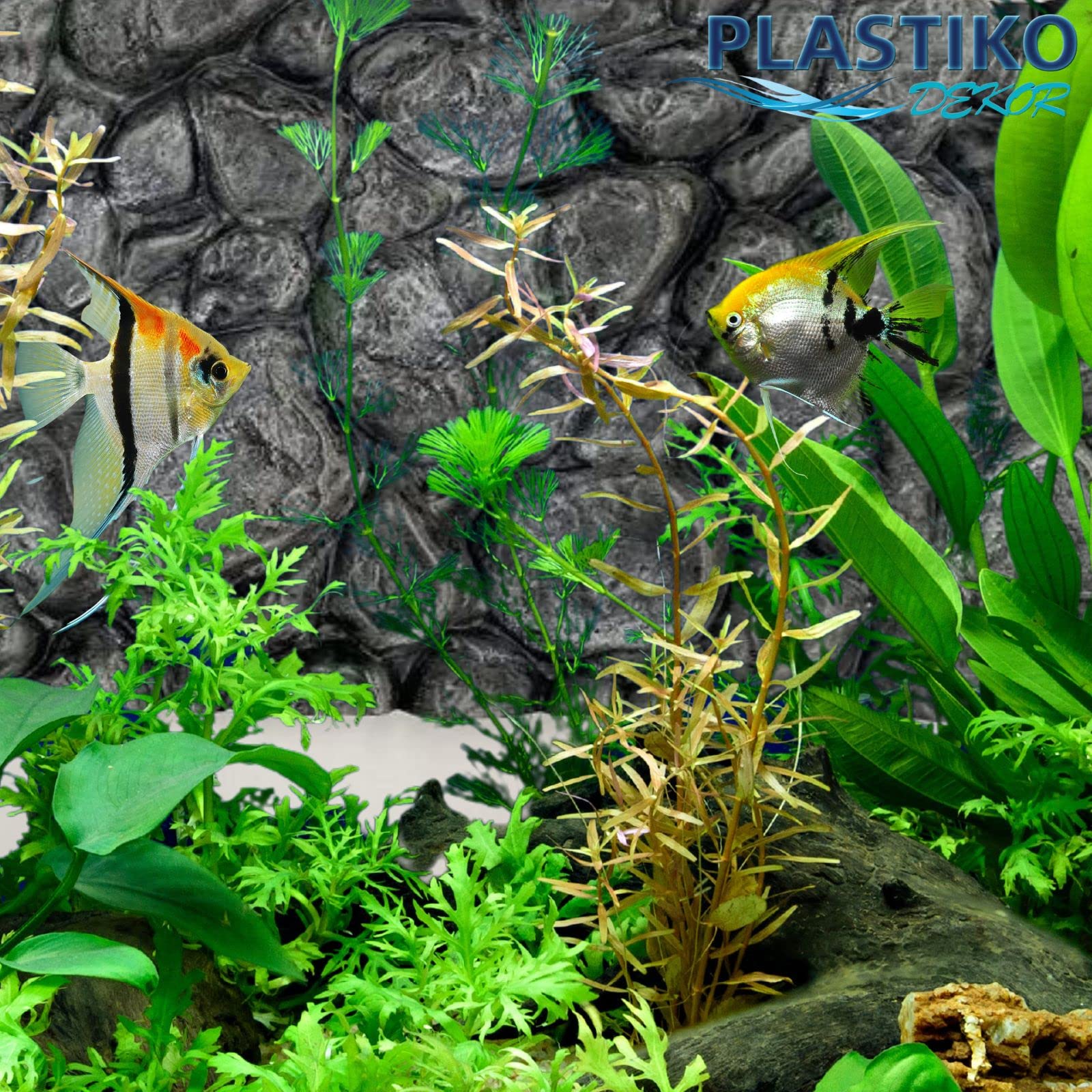 PLASTIKO - Aquarium Hintergrund 3D I Rückwänd 80x40 cm I Leicht zu Montieren und Reinigen I Keine Verklebung Erforderlich I Sicher für Tiere I Grau mit Baumwurzelmuster