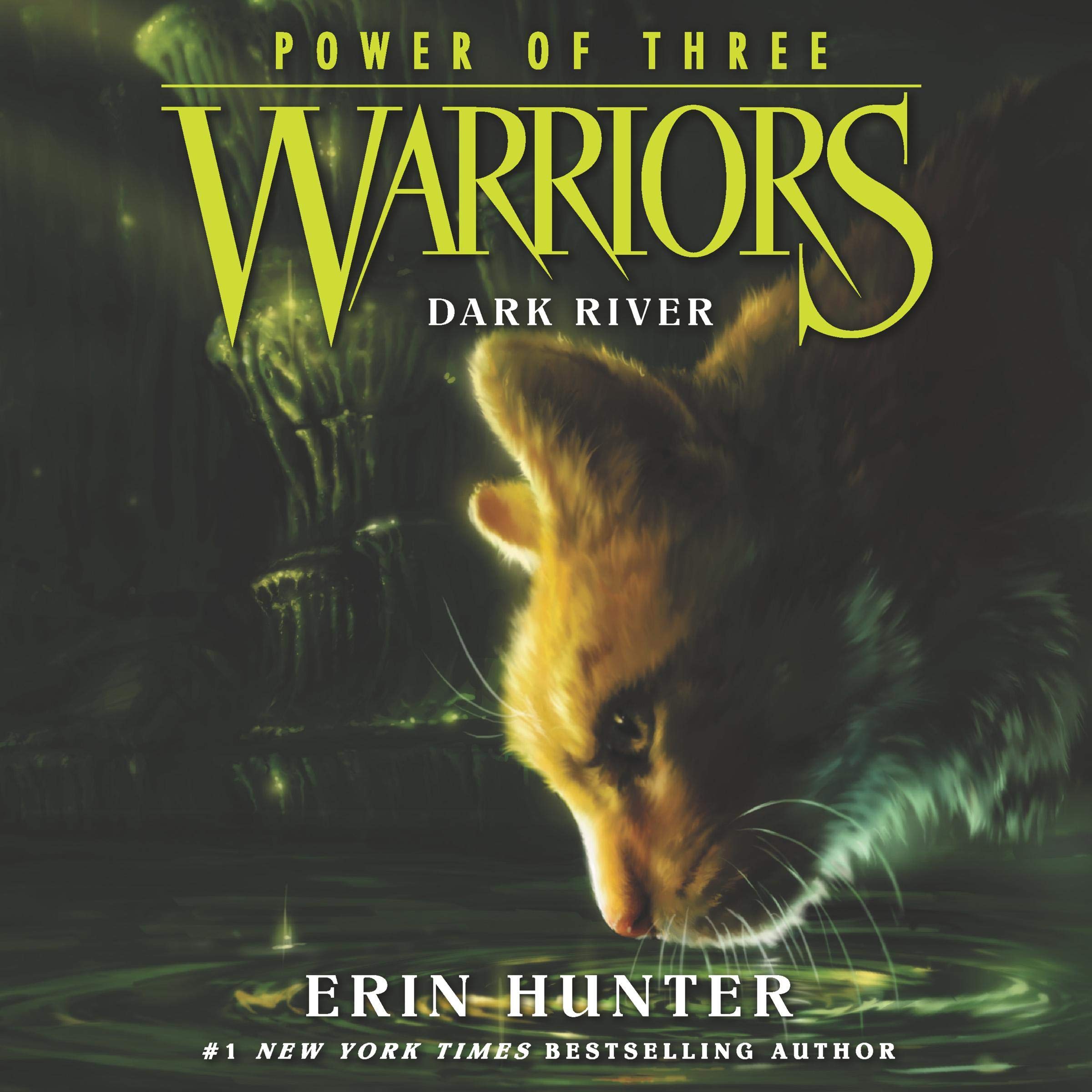 Cover art for Warriors: Power of Three #2: Dark River