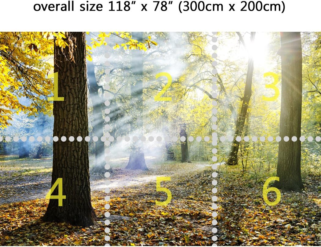 Wall Mural Sunlight in The Park, Peel and Stick Repositionable Fabric Wallpaper for Interior Home Decor (118 x 78 inches)