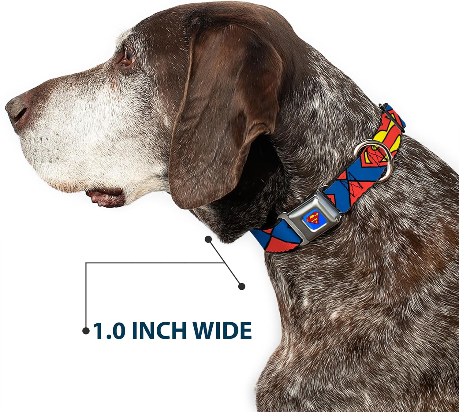 Buckle-Down Dog Collar Seatbelt Buckle Superman Shield Close Up Blue Red Yellow 15 to 26 Inches 1.0 Inch Wide