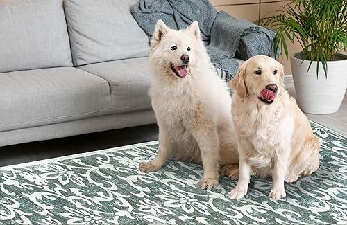 Miniatura 5 de Lanffia Alfombra lavable de 2 x 8 pies, alfombra floral para pasillo de cocina, antideslizante, alfombra de pelo bajo, alfombra gris suave de lana