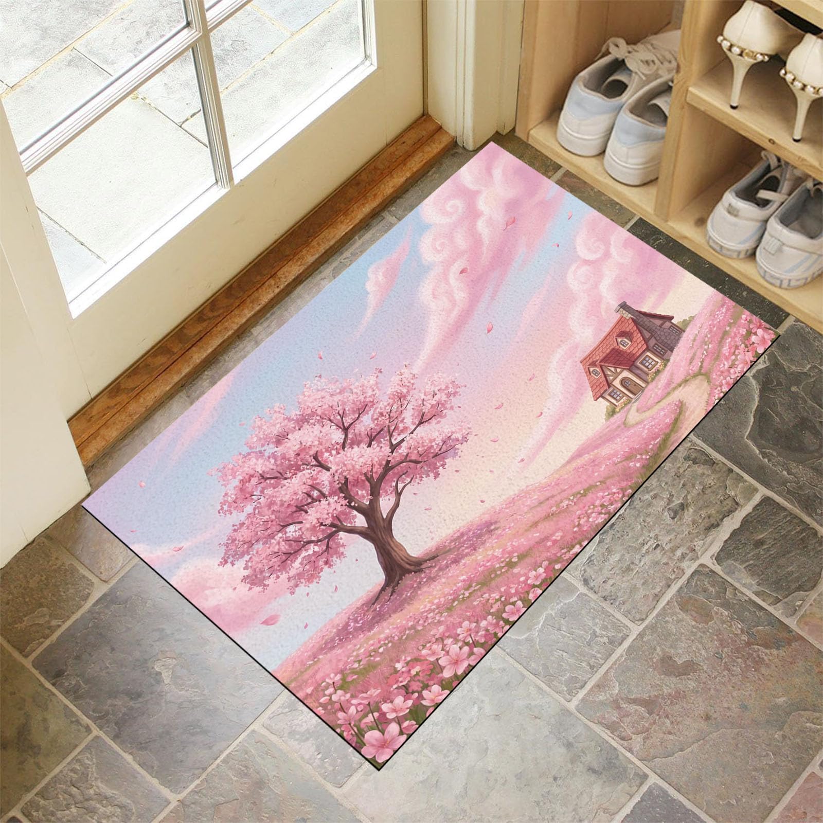 Tapis Entree Interieur Paillasson 60X90cm Rose Lavable Cuisine Anti-glisse