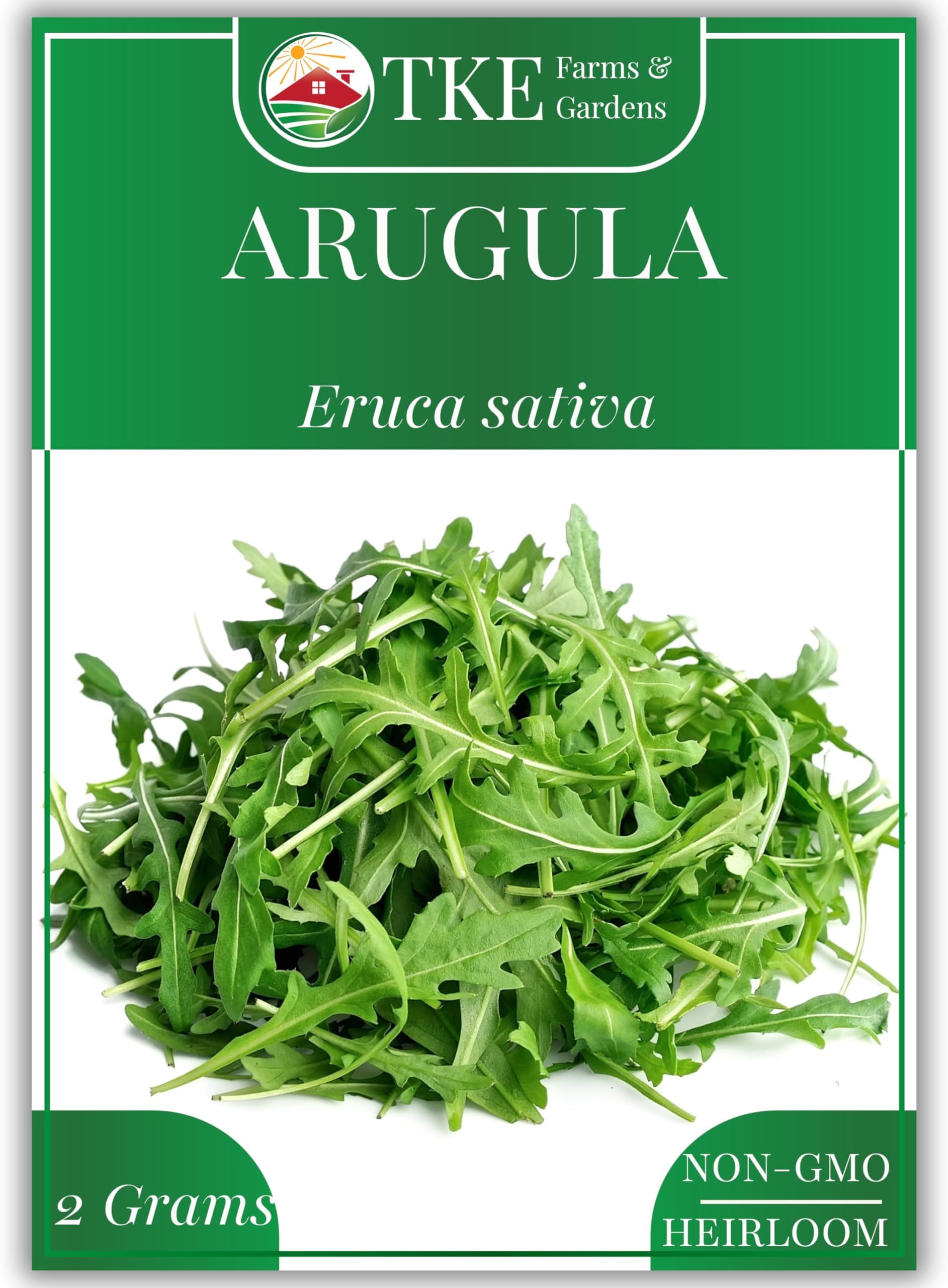 TKE Farms & Gardens - Arugula Seeds for Planting (Slow Bolt), 800+ Heirloom Non-GMO Seeds, Perfect for Microgreens & Salads, Grow Indoors or Outdoors, Growing Instructions Included