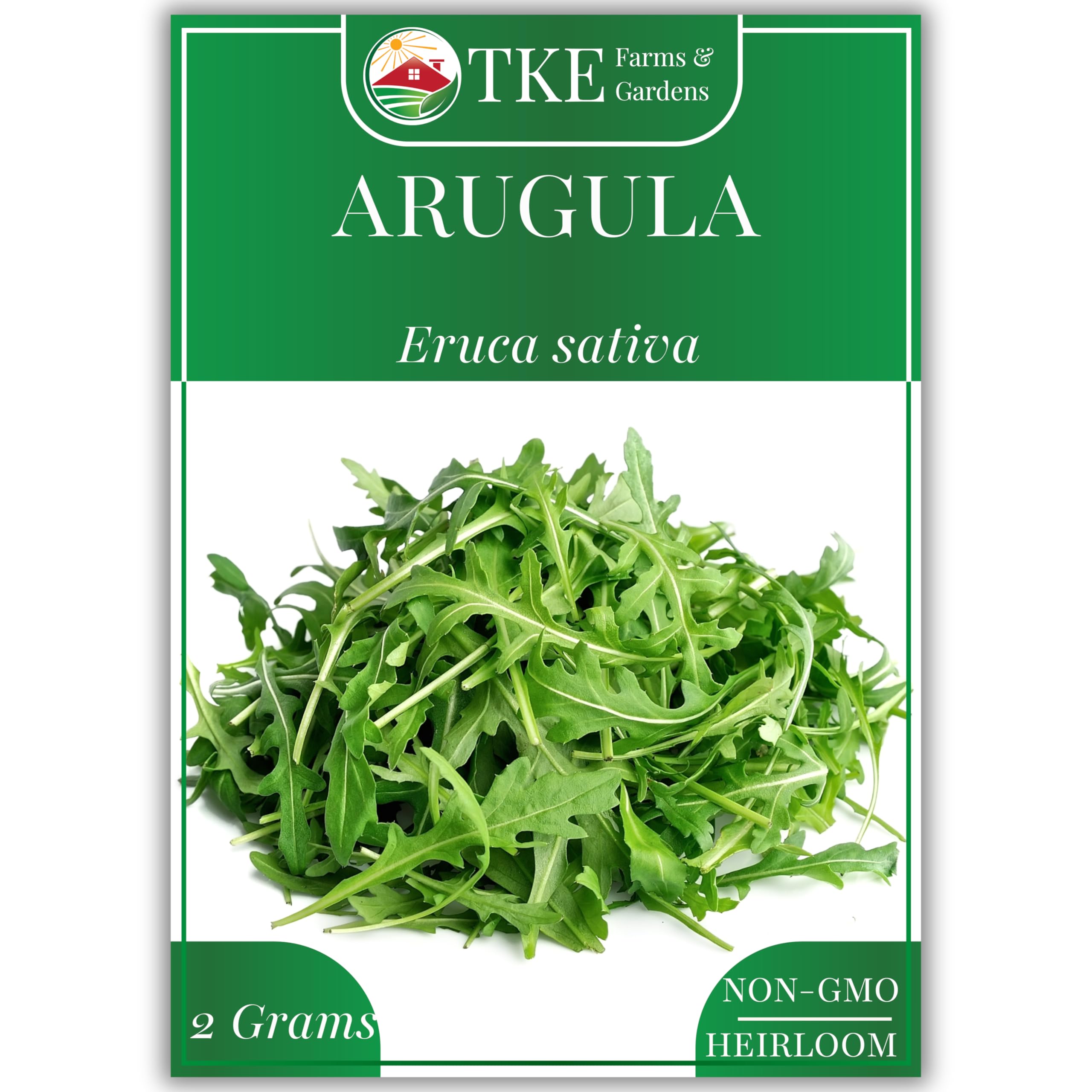 Arugula Seeds for Planting (Slow Bolt), 800+ Heirloom Non-GMO Seeds, Perfect for Microgreens & Salads, Grow Indoors or Outdoors, Growing Instructions Included