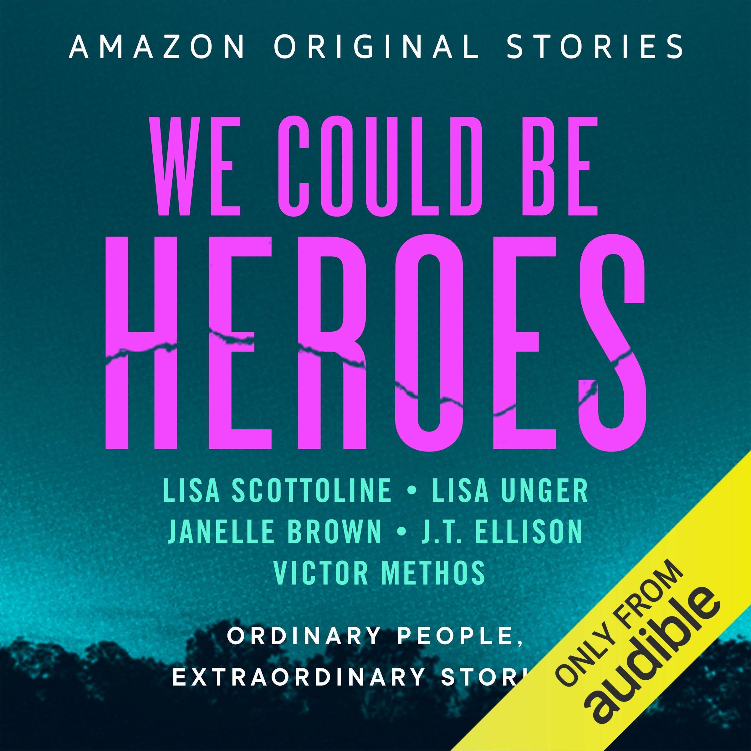 Cover art for We Could Be Heroes