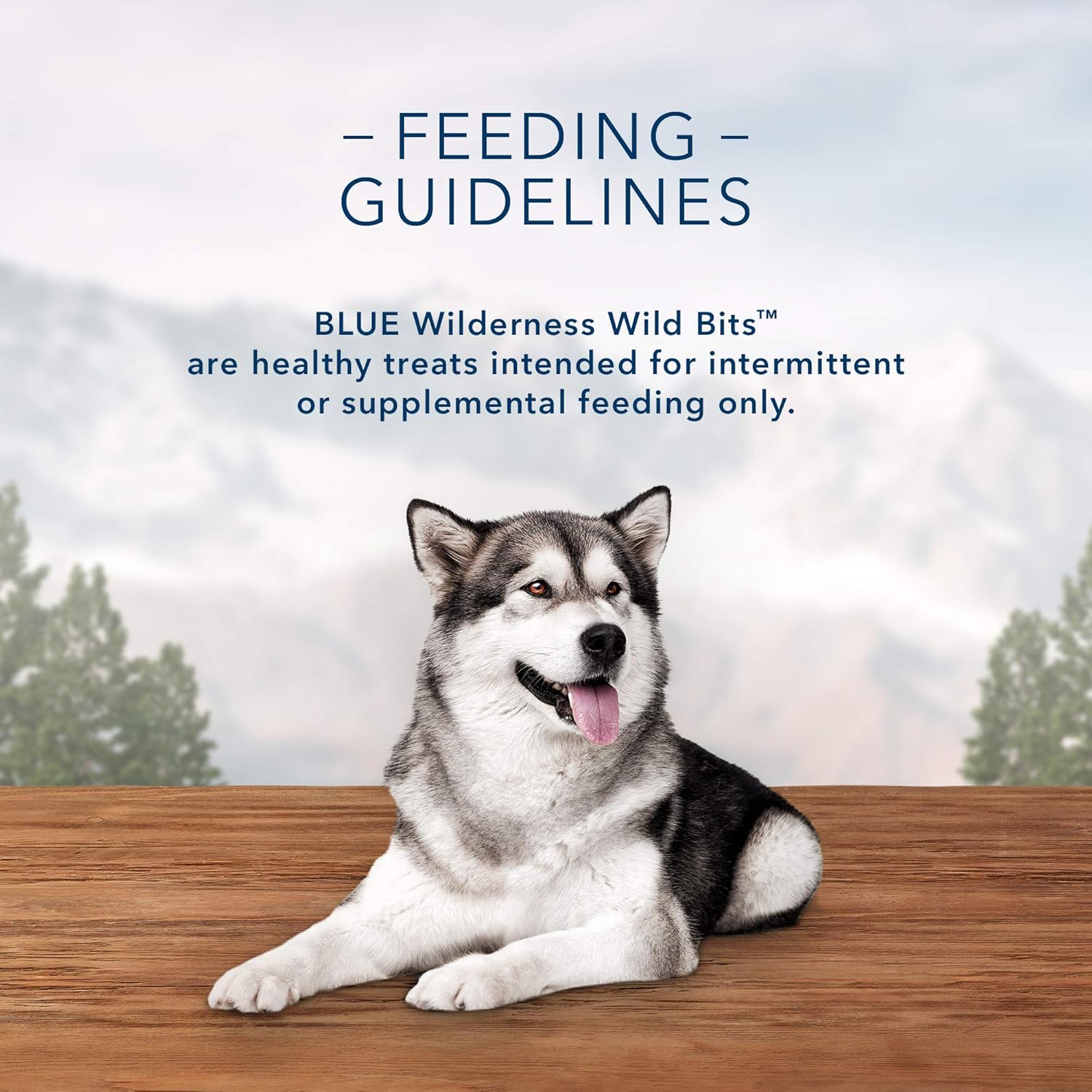 Blue Buffalo Wilderness Trail Treats Wild Bits High Protein Grain Free Soft-Moist Training Dog Treats, Salmon Recipe 10-oz Bag : Pet Supplies