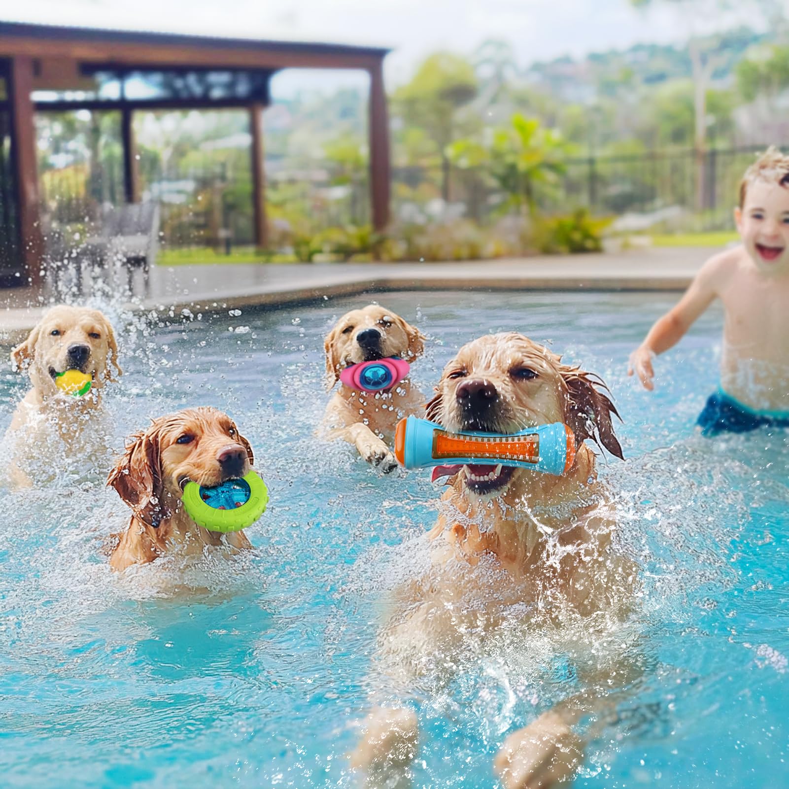 MEWTOGO 4 juguetes flotantes para piscina para perros, juguetes de agua chirriantes y brillantes para perros, juguetes interactivos de TPR seguros y duraderos para masticadores agresivos, perros