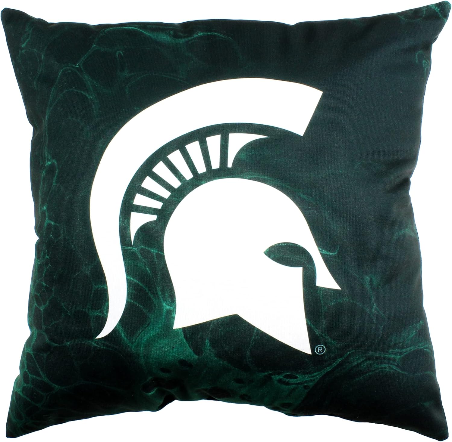 Wisconsin Badgers 2 Sided Color Swept Decorative Pillow, 16", Made in The USA