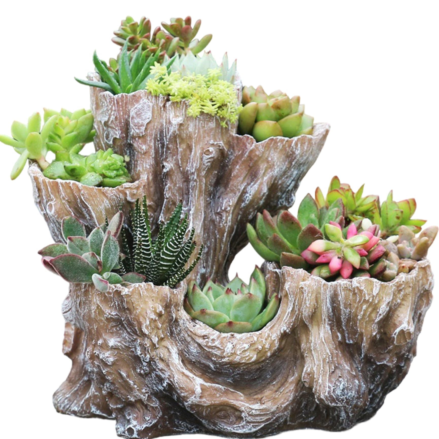 Yeaxxsqy Driftwood Planter, Irregular Resin Rustic Planter Creative Imitation Wood Stump Succulent Pots for Herb, Flower, Strawberry, Small Plants (White), Pot