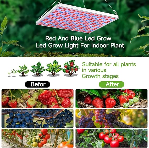 LED Grow Light, Grow Light for Indoor Plants Full Spectrum Plant Light for Seedling, Hydroponic, Greenhouse, Succulents, Flower