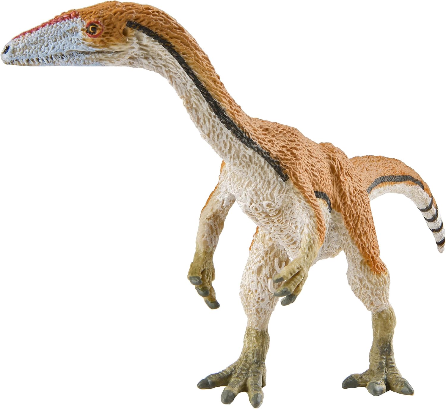 Safari Ltd. Coelophysis Figurine - Detailed 7.25" Carnivorous Dinosaur Figure - Educational Toy for Boys, Girls, and Kids Ages 3+