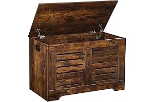 Dinzi LVJ Storage Chest: A Timeless Treasure for Your Living Space