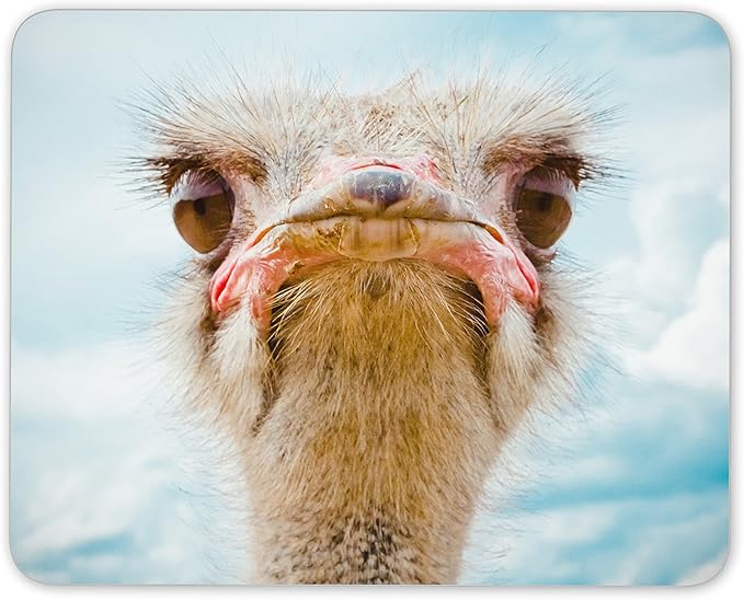 Amazon おかしいダチョウ鳥マウスマットパッド 気難しい動物ジョークオフィスのギフトコンピュータ 57 Destination Vinyl Mats 家電 カメラ