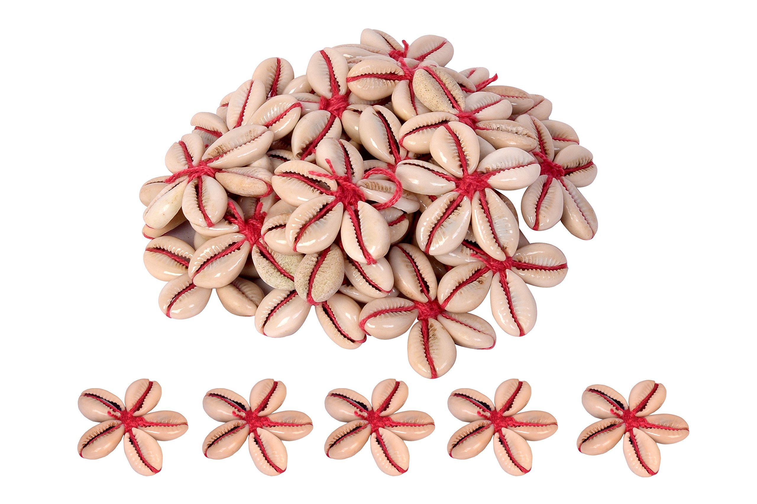 VARDHMAN PRANSUNITA Sea Shells Kowrie Hand Made Flowers,15 pcs, Size 4.5 cm x 4.5 cm, Red Color, Used in Dresses,Suits, Home Decor, Art & Craft, Gift Wrapping-picture-14
