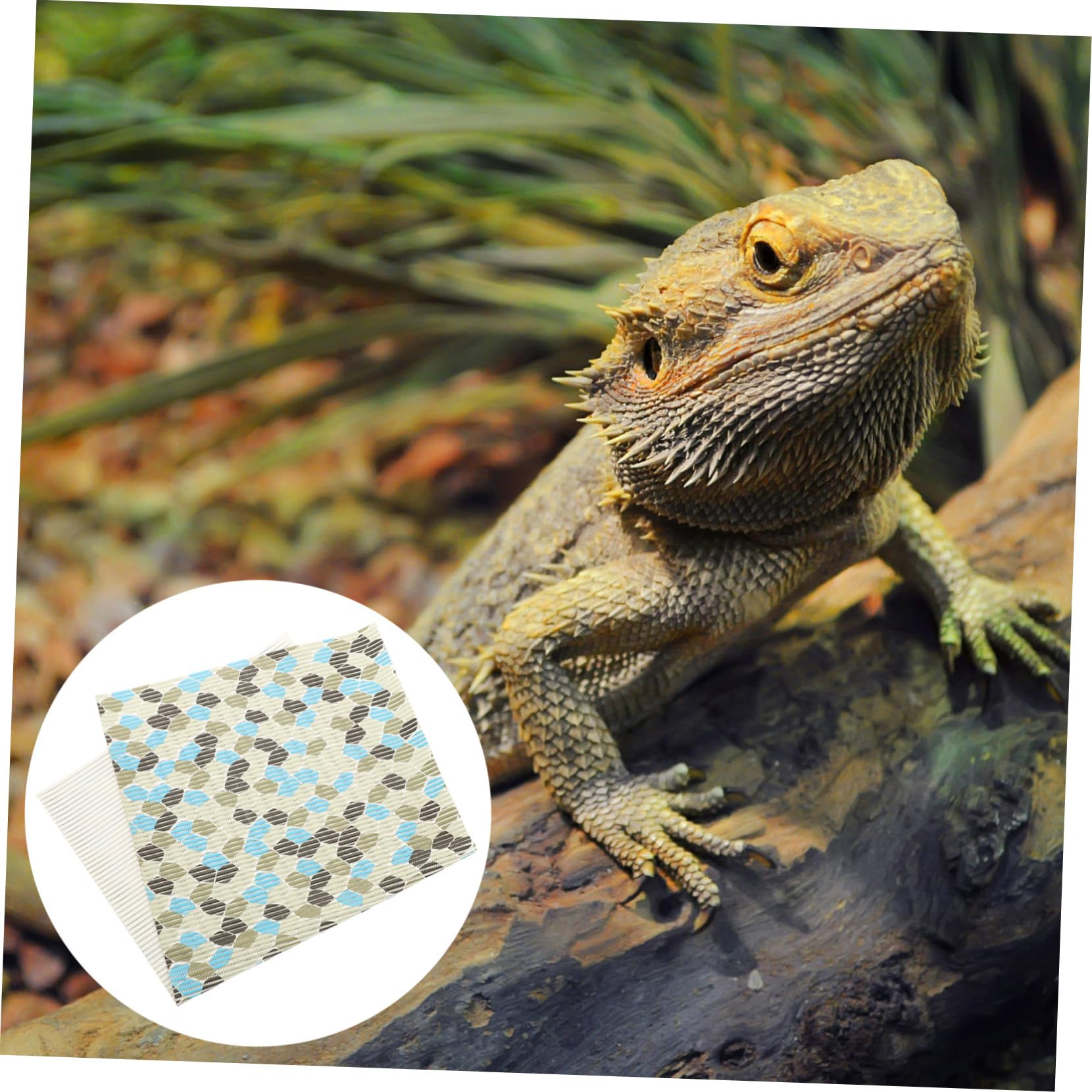 Tappetino per Terrario Rettili Riutilizzabile in Poliestere | Tartarughe e Serpenti, Superficie Confortevole, Accessorio per Fondo Vasca, Dimensione Standard