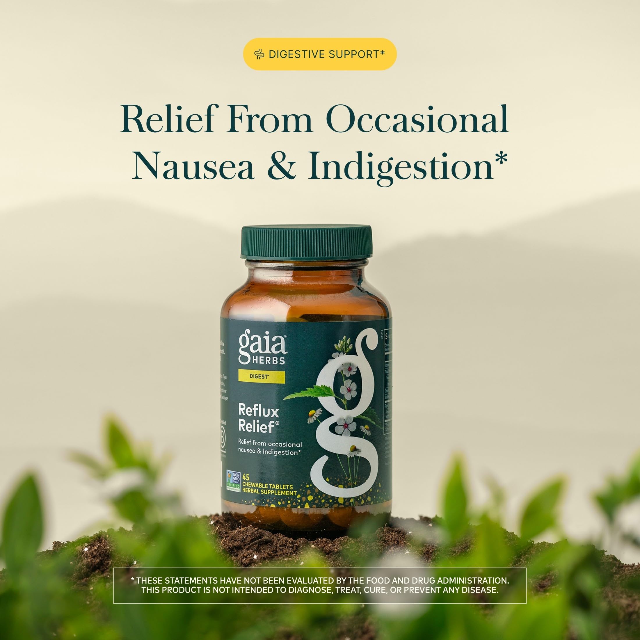 Gaia Herbs Reflux Relief, 45 Chewable Tablets, 45 Servings — Amazon image 3