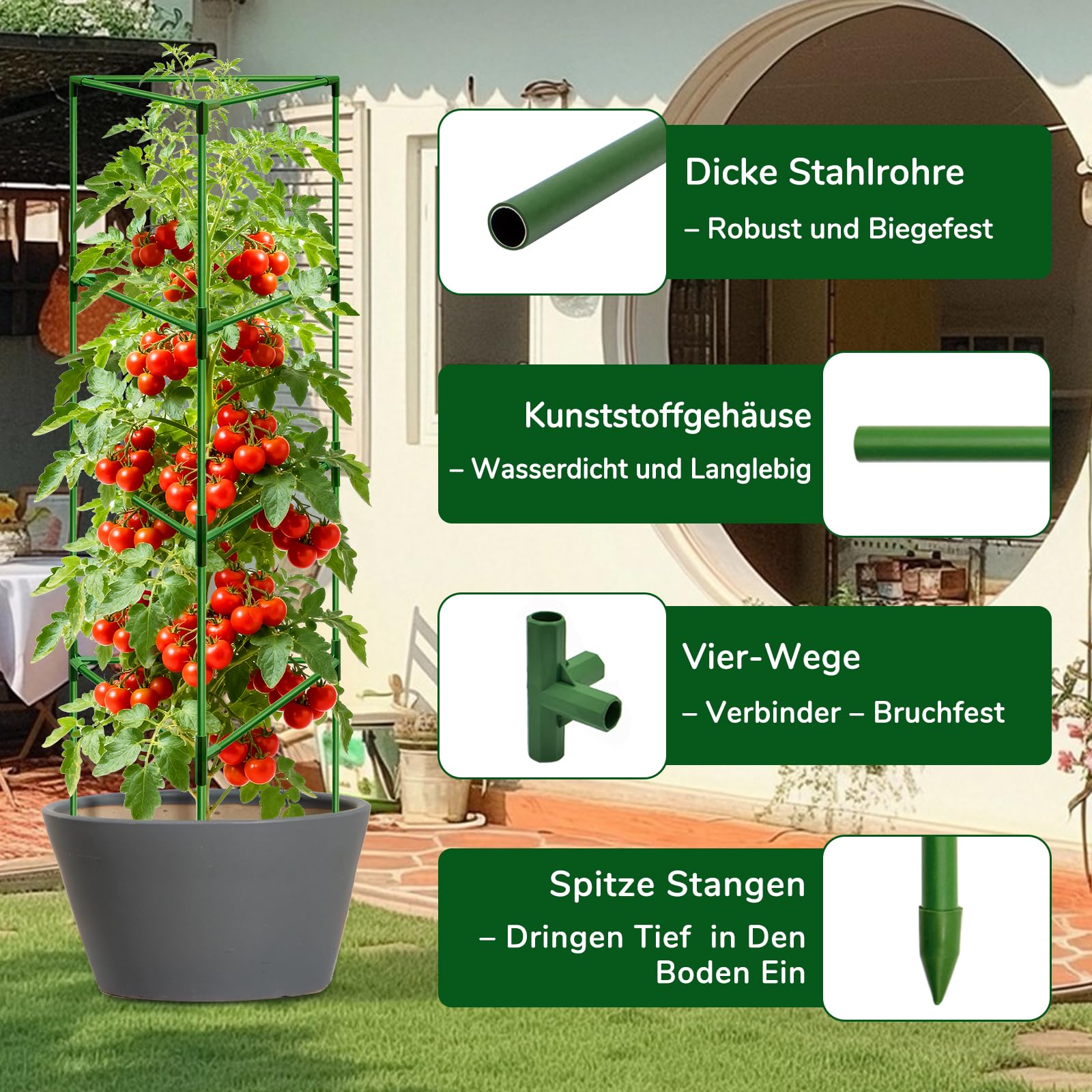 ZeeDix Tomaten Rankhilfe 6 Stück,165cm Stabile Pflanzen Rankhilfe