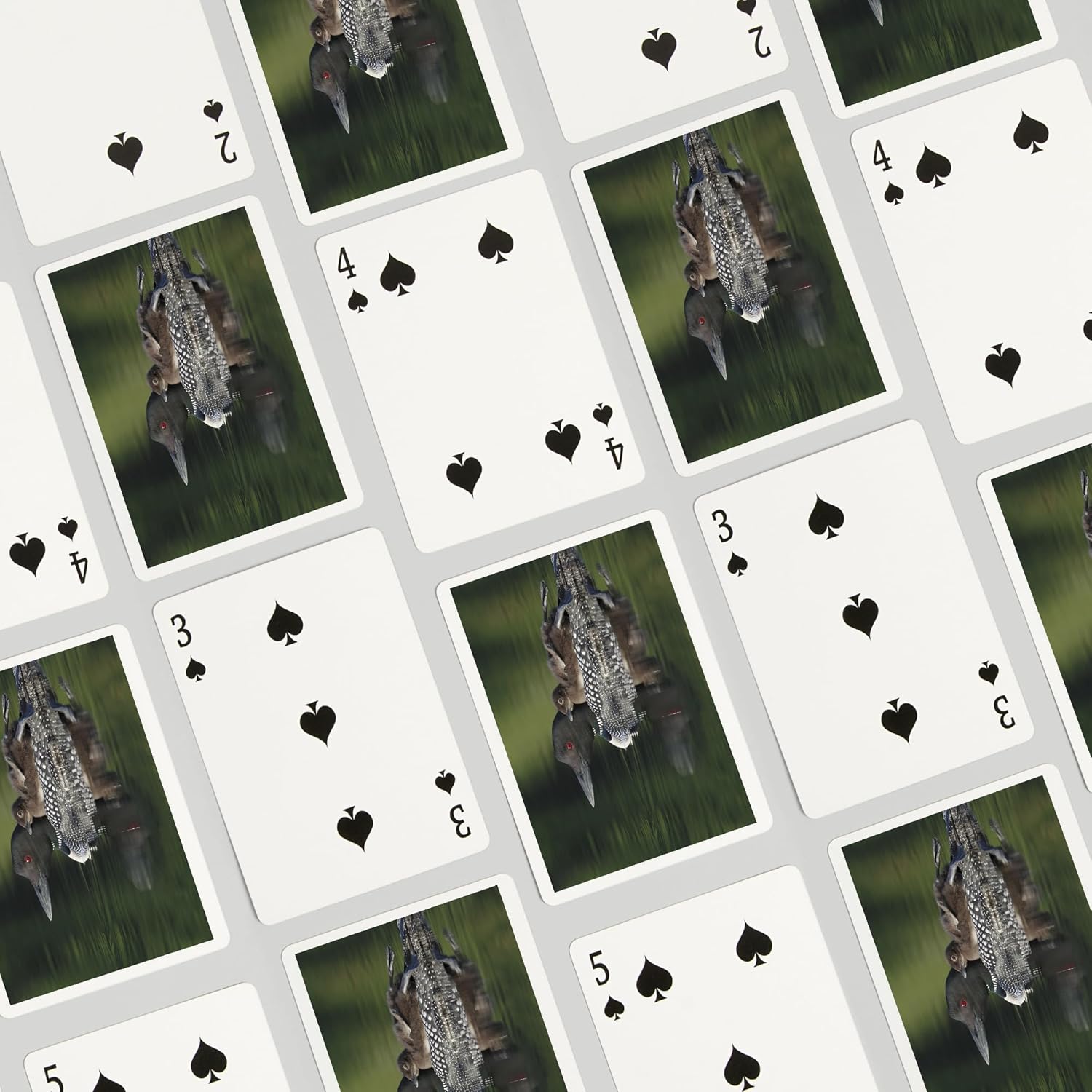 Lantern Press Loon and Chick, 52 Playing Cards for Adults, Poker Size Card Deck