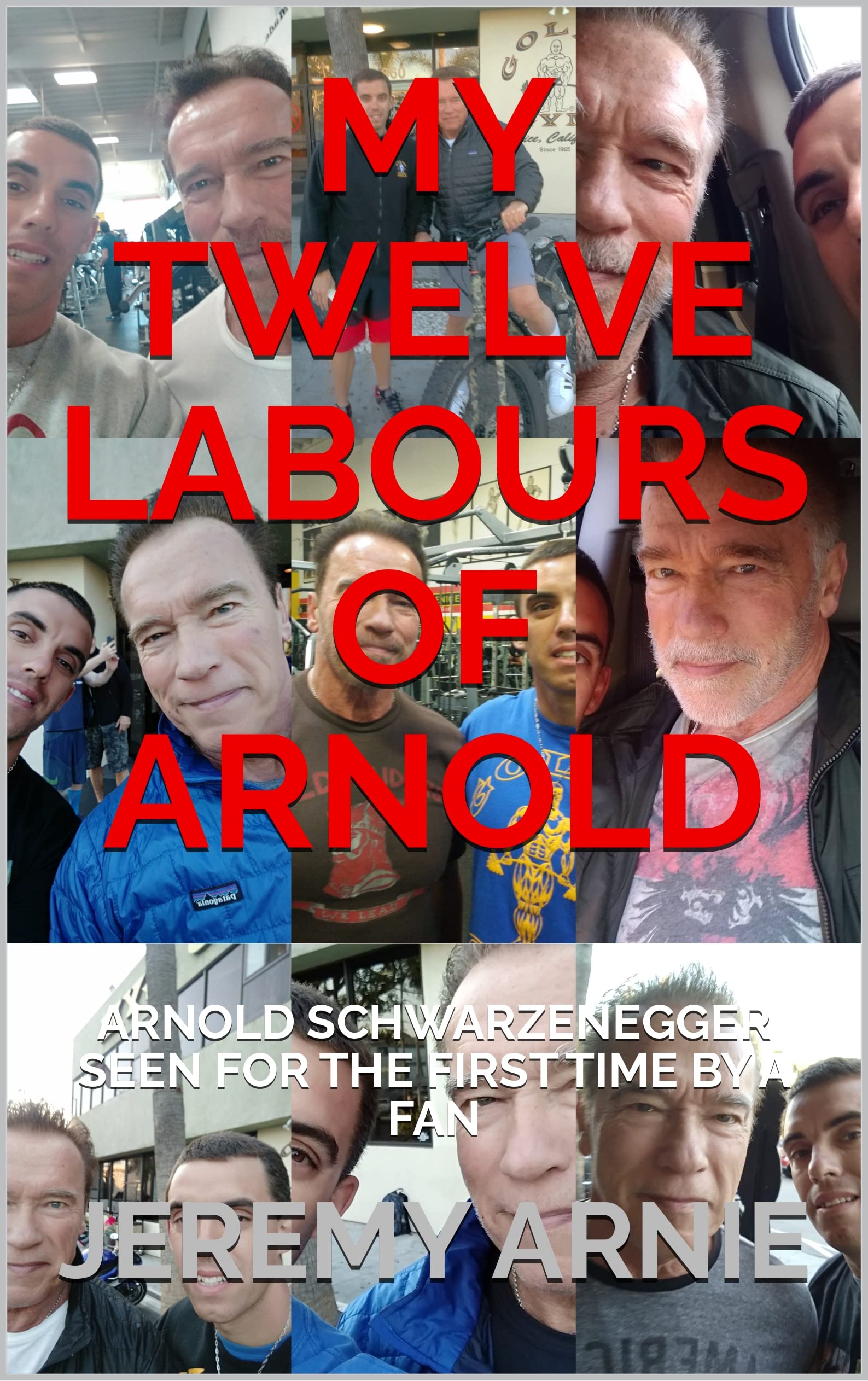 MY TWELVE LABOURS OF ARNOLD: ARNOLD SCHWARZENEGGER SEEN FOR THE FIRST TIME BY A FAN